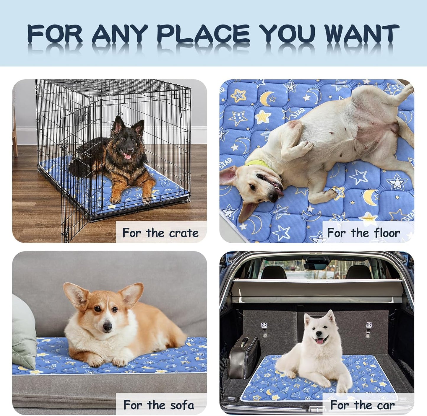 Bubble bear Dog Crate Mat - Ultra Soft, Washable & Anti-Slip Kennel Pad for Small/Medium/Large Dogs, Dark-Hued to Hide Stains (36"x23")