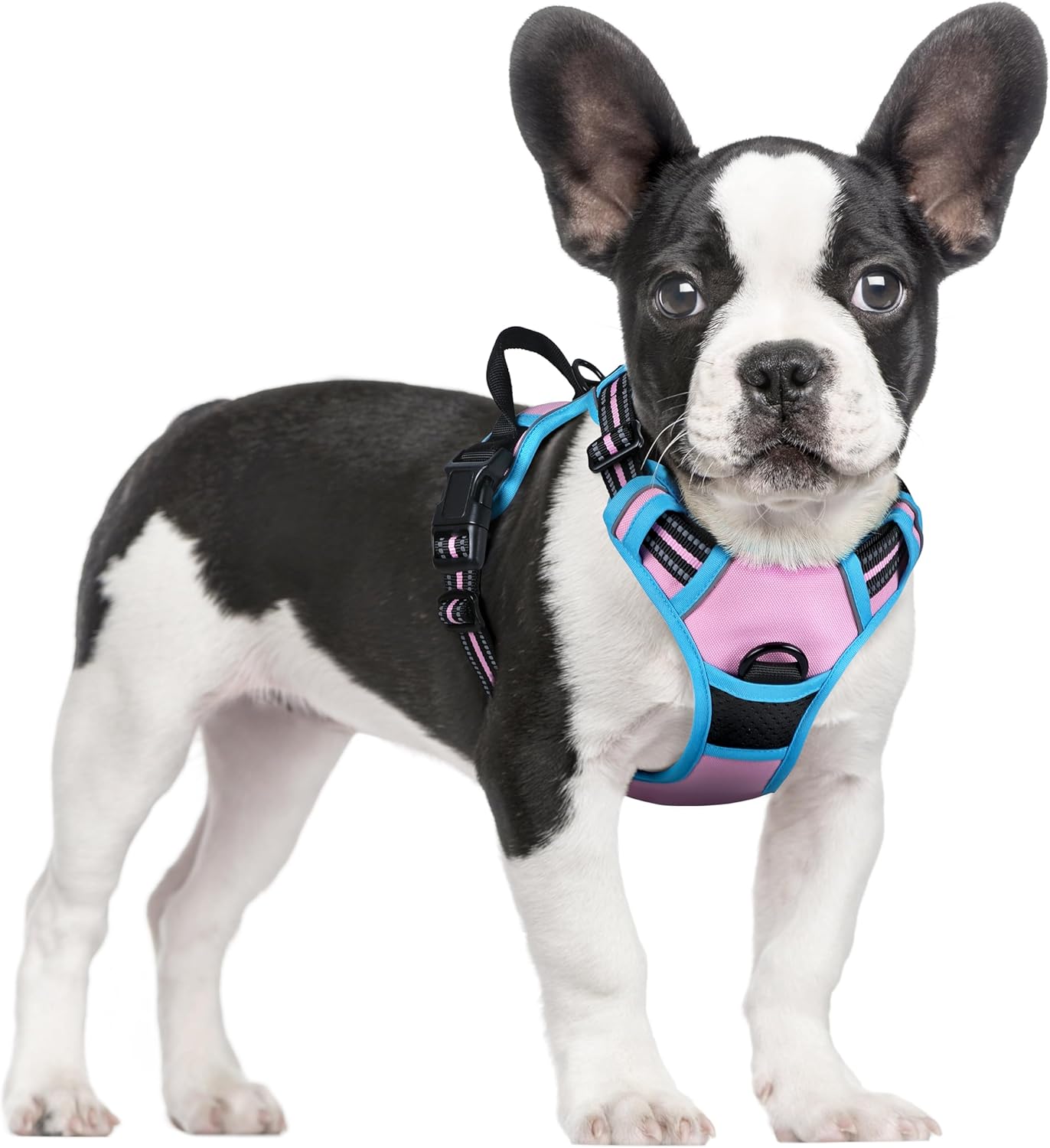 rabbitgoo Dog Harness No Pull with 2 Leash Clips, Adjustable Soft Padded, Reflective Oxford No Choke Pet Vest with Easy Control Handle for Small Dogs, Pink & Blue, S
