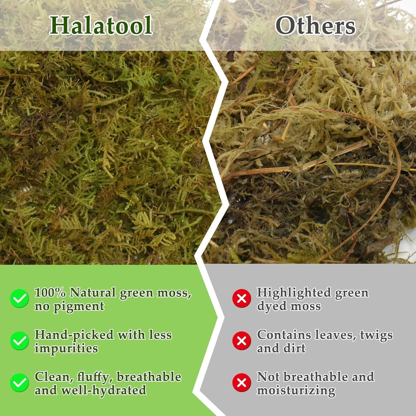Halatool 2.2LB Natural Sphagnum Moss for Reptiles- 50QT Green Live Moss for Terrarium Plants Long Fiber Reptile Moss for Leopard Gecko Snake Hamsters Tortoises Frogs Lizards Salamanders