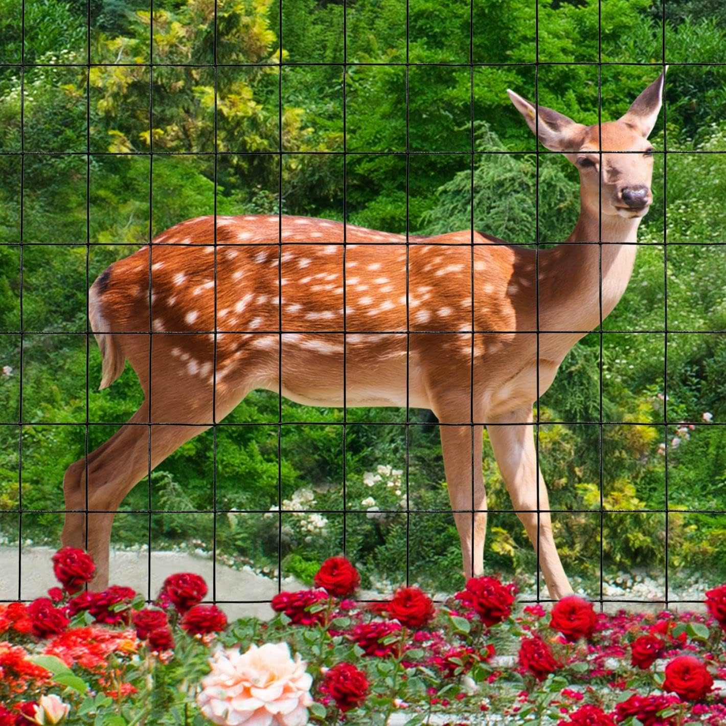 Black PVC Coated Welded Wire Fence 36 Inch x 50 Foot, 2 Inch x 3 Inch 16GA, Garden Border Fencing Roll Vinyl Coating Metal Wire Mesh for Yard Vegetable Plant Protection Poultry Netting