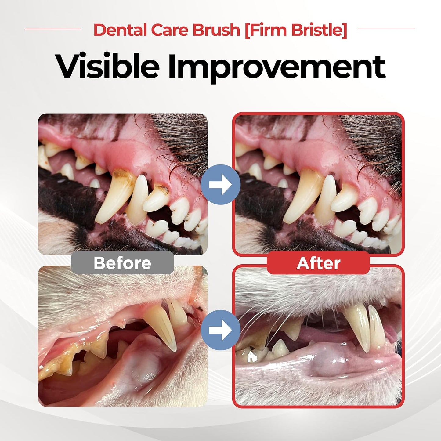 JAYU PET Dental Care Brush (Firm Bristles) 1ea - Resilient Dog Toothbrush, Cat Toothbrush for Tartar & Plaque Removal, Horizontal Head and S-Curved Body