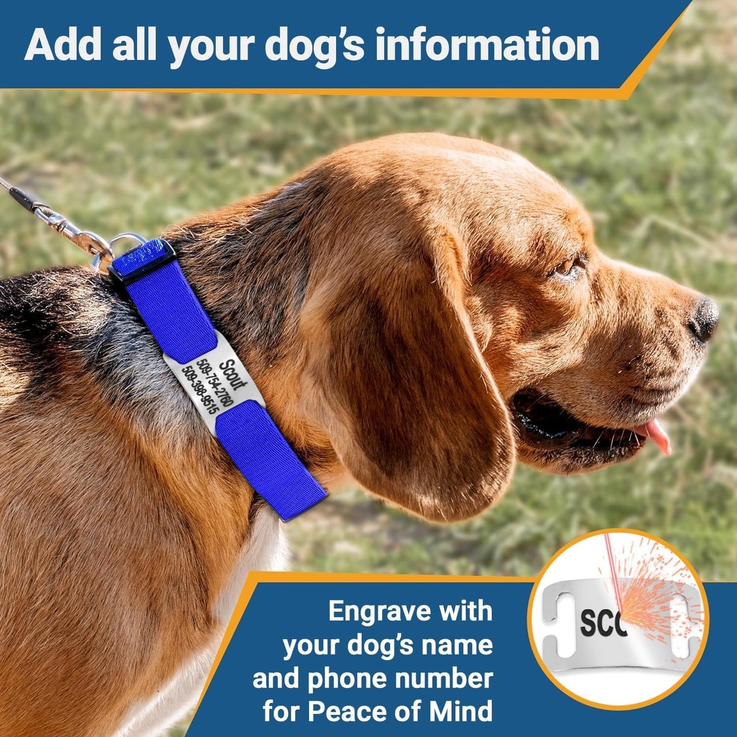 GoTags Reflective Personalized Dog Collar with Nameplate, Adjustable Dog Collar with Custom Engraved Steel Slide On Pet ID Tag, Silent, No Noise Dog Tag for Large Medium or Small (Lavender, Small)