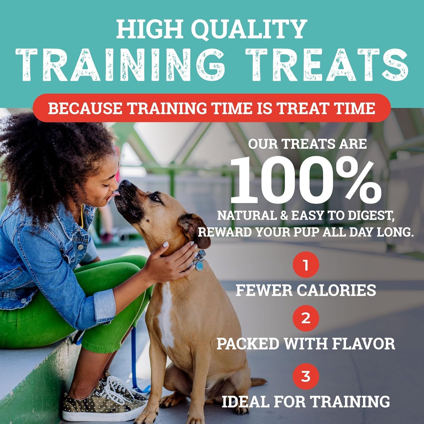 etta says! Training Treats - All Natural Variety Pack Soft Treats for Dogs - Bacon, Cheese, and Peanut Butter - Made in The USA (6 Oz Pack of 3)