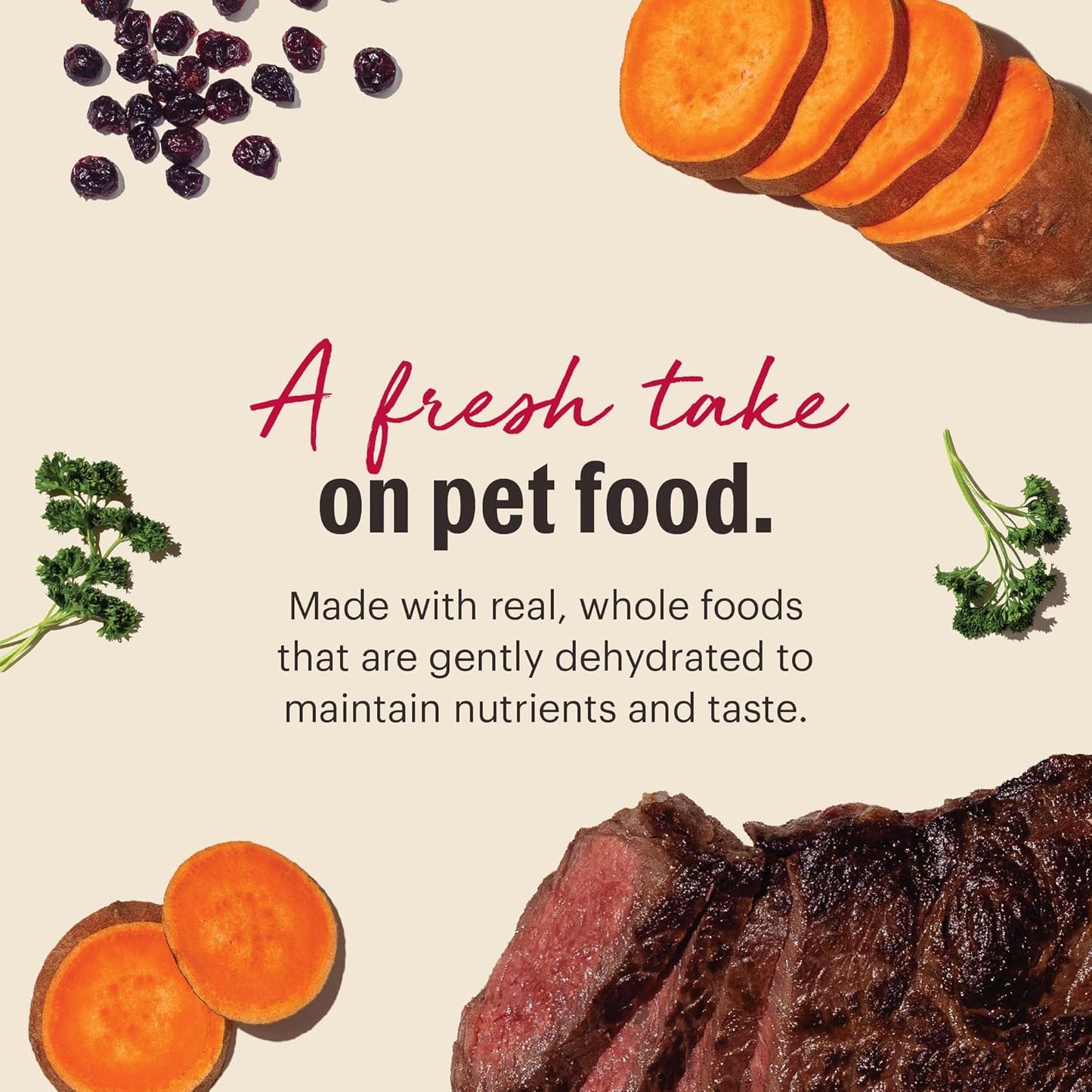 The Honest Kitchen Wholemade™ Grain Free Beef Dog Food, 4 lb Box