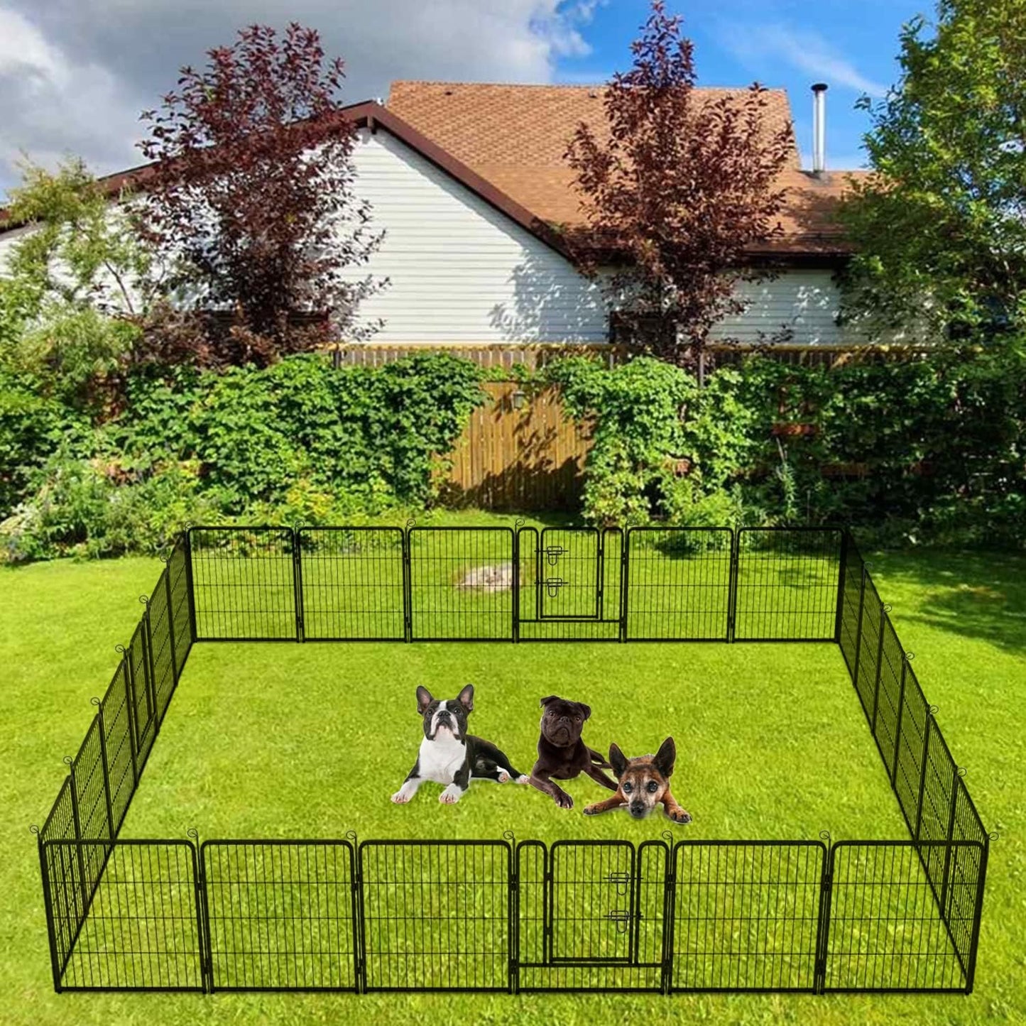 BestPet Dog Playpen Indoor 32 inch 24 Panels Metal Dog Pen Pet Dog Fence Outdoor Exercise Pen with Doors,Pet Puppy Playpen for RV Camping Yard, Black