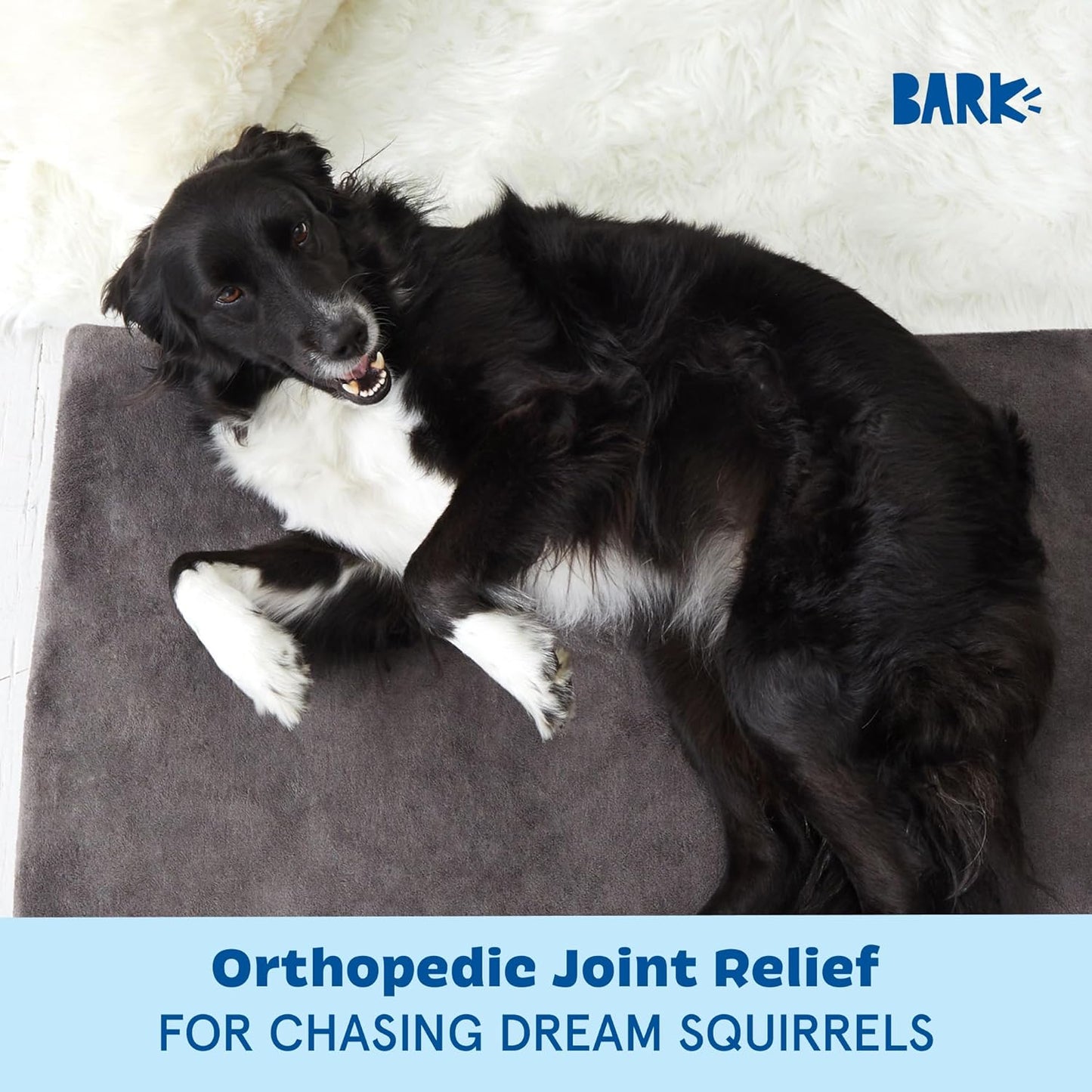 Barkbox Orthopedic Dog Bed with Memory Foam, Premium Comfort for Dogs and Puppies, Large Sized Dog Bed for Joint Relief and Restful Sleep, Durable and Easy to Clean - Grey, Large