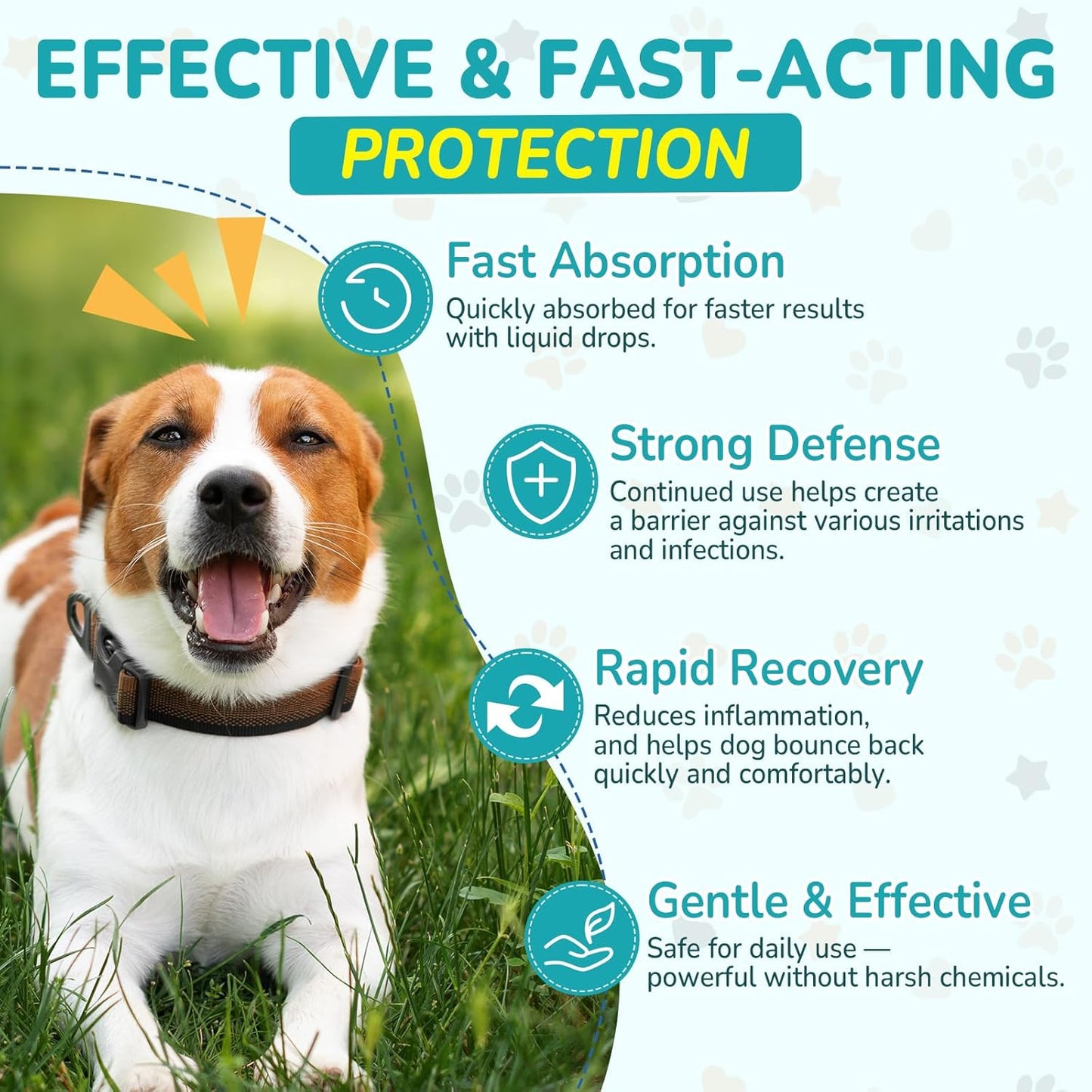 Antibiotics for Dogs | Natural Dog Antibiotics for Allergy Relief, Itch Relief, Coughs, Skin Health, Breath Treatment, Digestion | Herbal Supplement to Care for Ears, Eyes & Coat, 4 Fl Oz