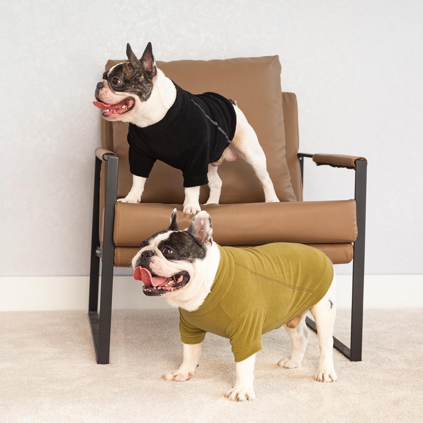 Fitwarm 3 Pack Classic Fleece Dog Sweater, Winter Clothes for Small Dogs Boy Girl, Turtleneck Dog Sweatshirt, Pet Pullover Jumper, Cat Apparel, Black, Olive Green, Cream, Small