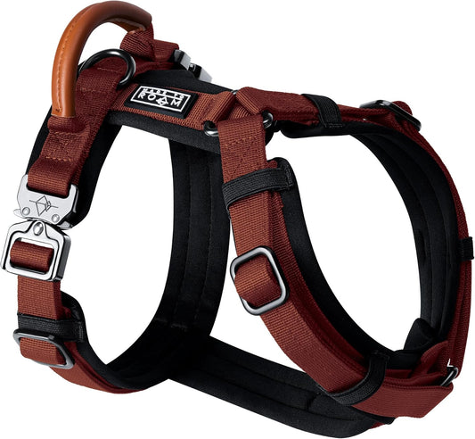 MADE TO ROAM Premium Explorer Harness - Y-Shaped Dog Harness with Adjustable Durable Nylon, Soft Padding, Metal Buckles and Leather Handle for Small, Medium, Large Dogs (Arizona Heartbeat, Size 2)
