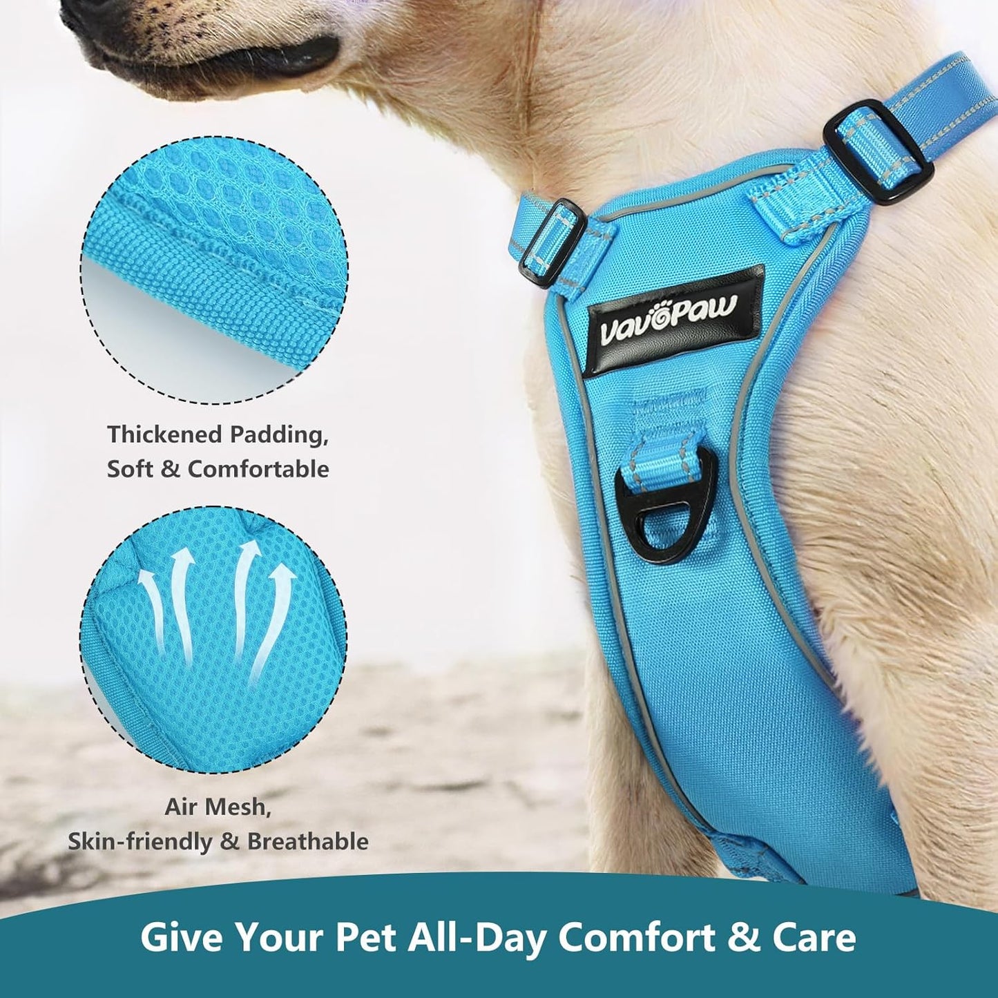 Dog Seat Belt Harness for Car, Dog Car Harness Adjustable Mesh Breathable & Dogs Seatbelt Safety Tether with Elastic Bungee for Small Medium Large Pets(Blue, XL)