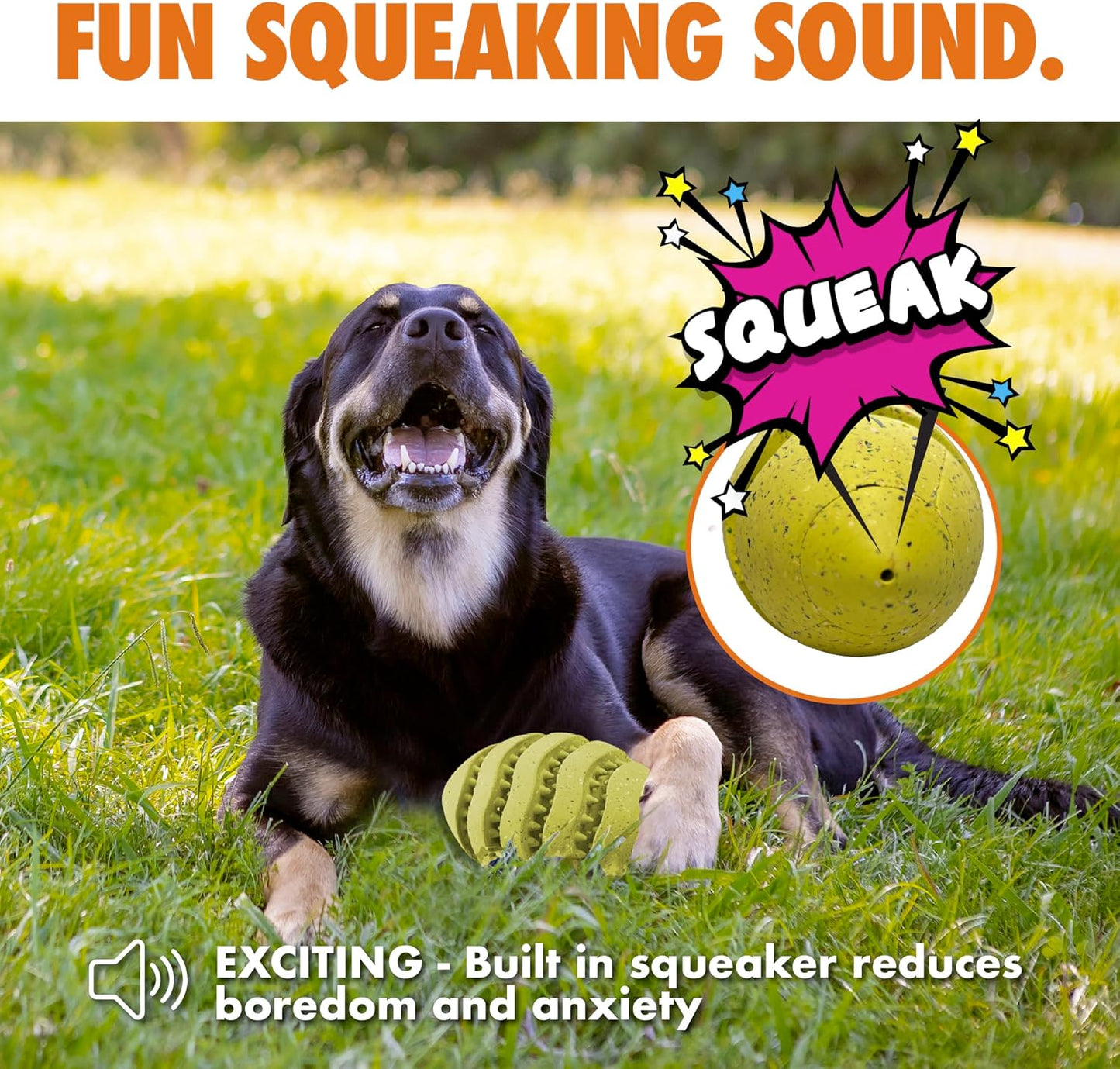 Max Fusion with Nike Grind, Arlee Spiro Football Treat Dispensing Dog Toy, Durable Dog Treat Toy, L