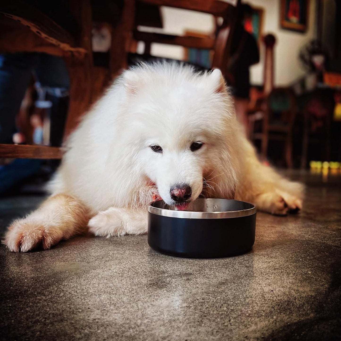 IKITCHEN Dog Bowl for Food and Water, 40 Oz Stainless Steel Pet Feeding Bowl, Durable Non-Skid Double Wall Insulated Heavy Duty with Rubber Bottom for Medium Large Sized Dogs (40 Ounces/5 Cup, Black)