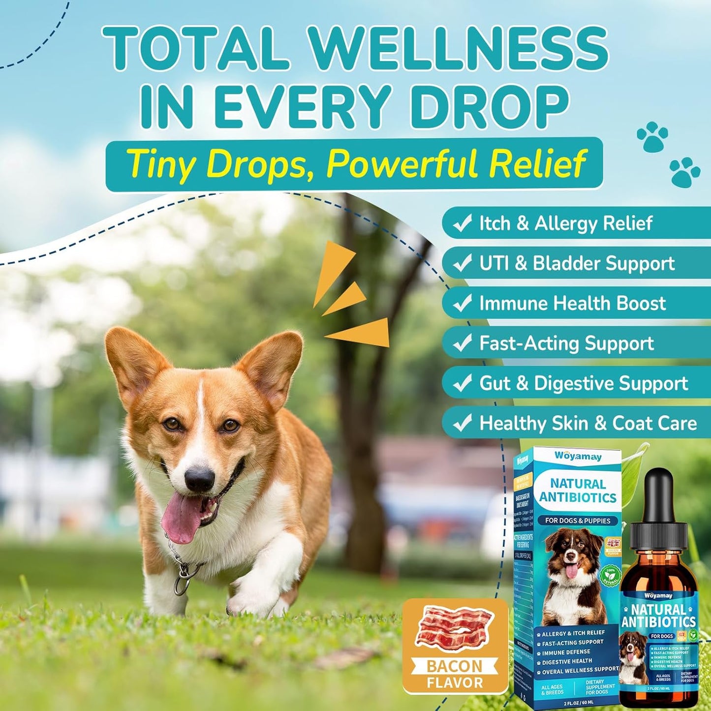 Antibiotics for Dogs | Natural Dog Antibiotics for Allergy Relief, Itch Relief, Coughs, Skin Health, Breath Treatment, Digestion | Herbal Supplement to Care for Ears, Eyes & Coat, 4 Fl Oz
