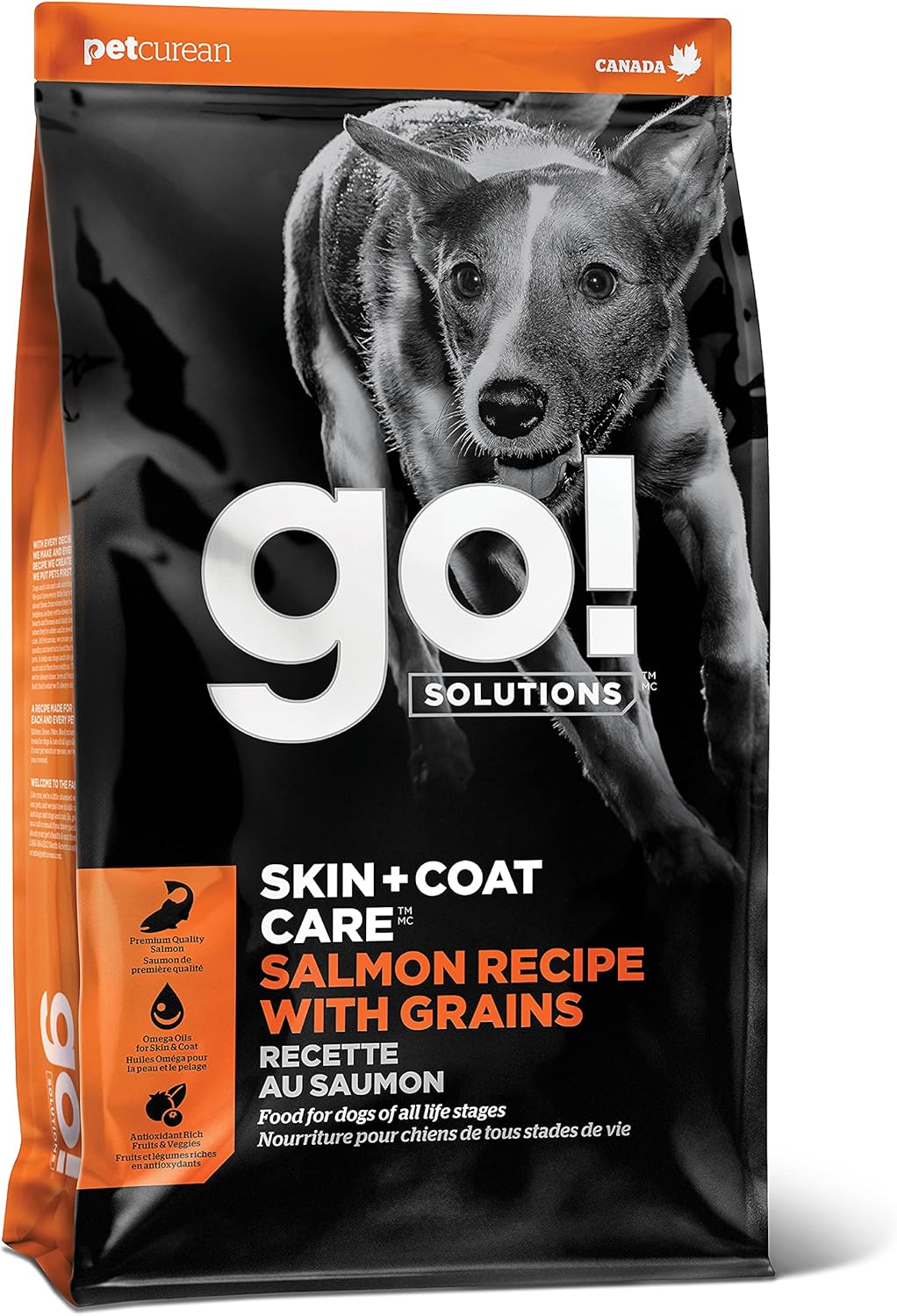 Go! Solutions Skin + Coat Care, Dry Dog Food, Salmon Recipe with Grains, 22 lb Bag