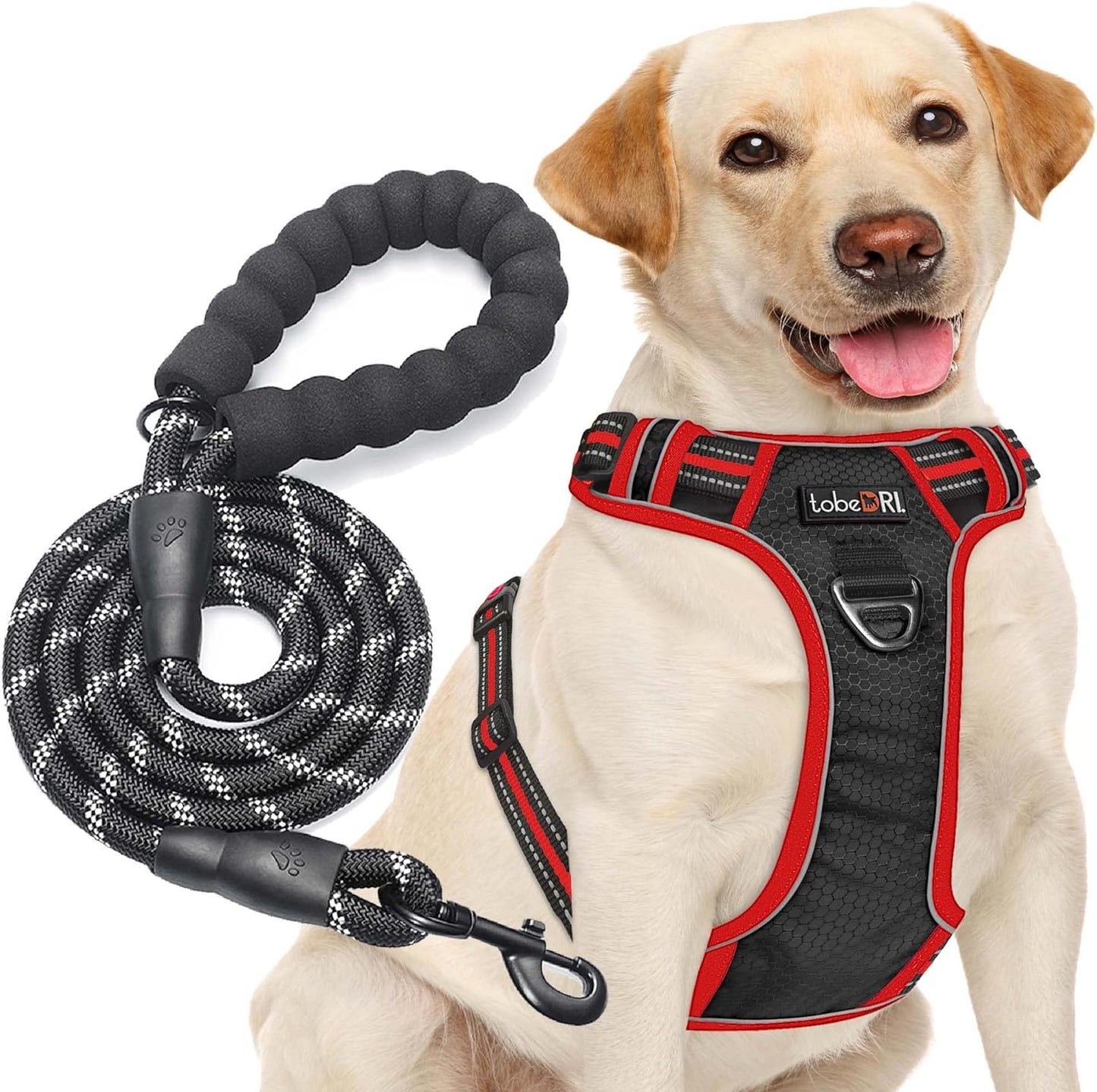 No Pull Harness Adjustable Reflective Oxford Easy Control Medium Large Dogs with A Free Heavy Duty 5ft Leash Black/Red Harness+Leash (E-DH F 004)