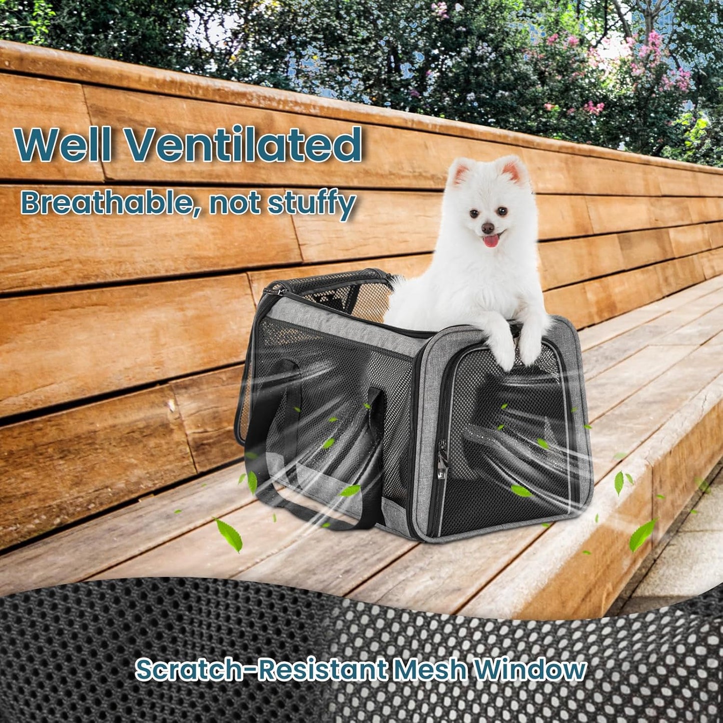 Petsfit Cat Carrier Small Dog Carrier, Lightweight Portable Soft Pet Carrier for Large and Medium Cats, 5-Sided Breathable Mesh, Escape Proof and Auto-Safe, Sturdy Structure