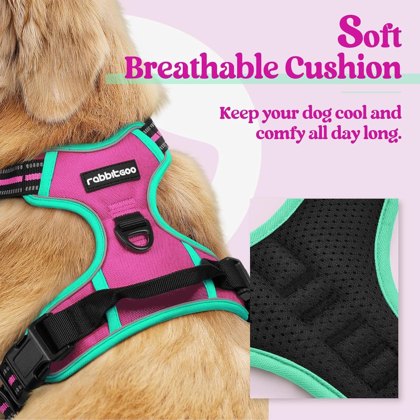 rabbitgoo Dog Harness No Pull with 2 Leash Clips, Adjustable Soft Padded, Reflective Oxford No Choke Pet Vest with Easy Control Handle for Large Dogs, Hot Pink & Turquoise, L