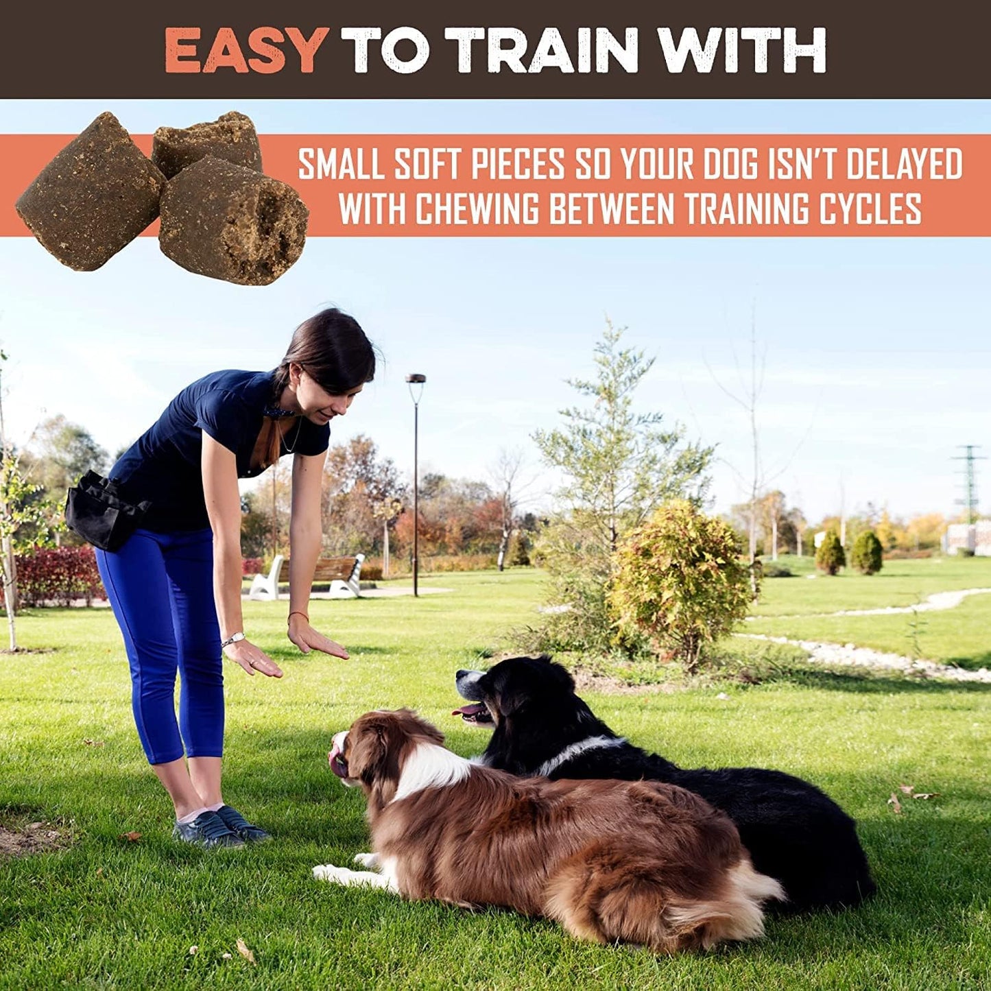 BRUTUS & BARNABY Training Treats for Dogs - Sweet Potato & Chicken - All-Natural Healthy Low Calorie Treat - Great to Use for Rewards in Training Your Puppy Or Dog