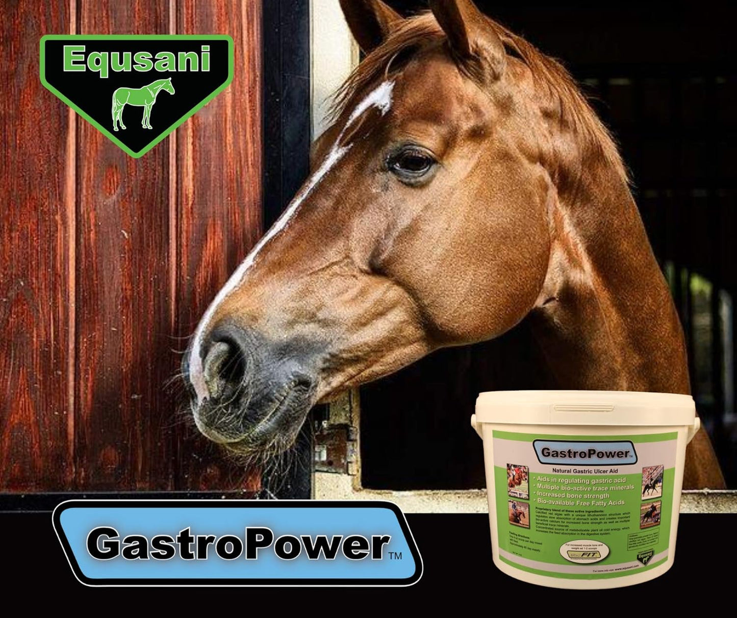 GastroPower Digestible Free Fatty Acid Feed Concentrate for Horses