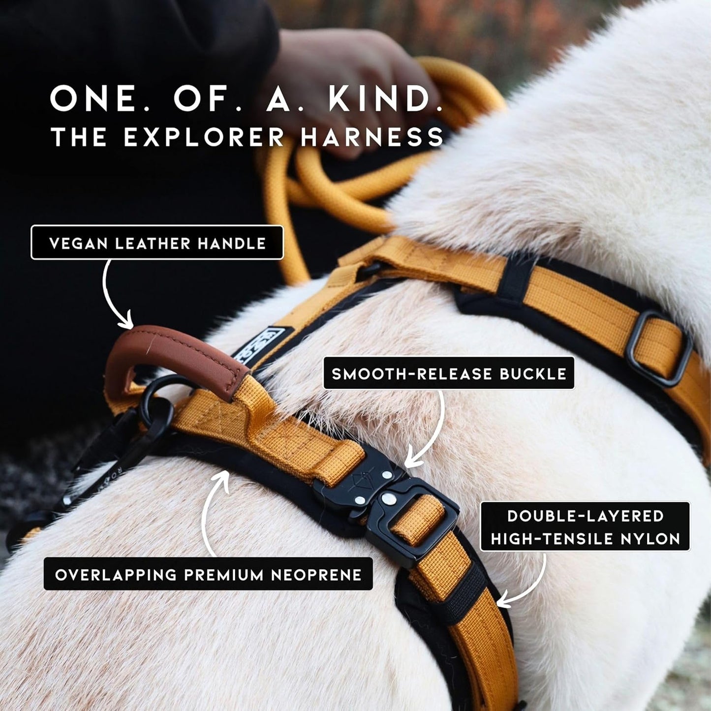 MADE TO ROAM Premium Explorer Harness - Y-Shaped Dog Harness with Adjustable Durable Nylon, Soft Padding, Metal Buckles and Leather Handle for Small, Medium, Large Dogs (Nevada Evening, Size 1)