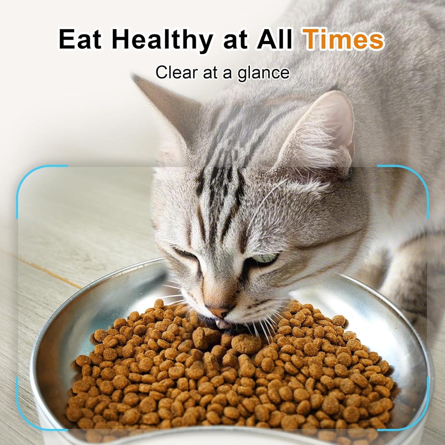 6L Automatic Cat Feeder with Dual Camera, 1080P HD Night Vision & Dual Power Supply, Easy Setup Timed Food Dispenser with Desiccant Bag for Cats & Dogs, 5G WiFi Pet Feeder with 2-Way Audio