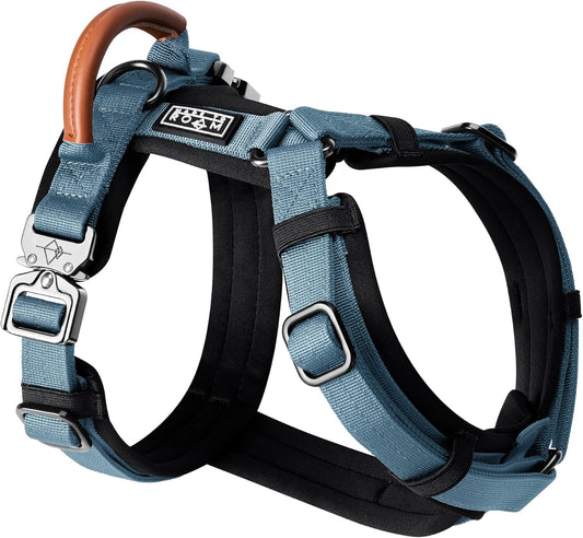 MADE TO ROAM Premium Explorer Harness - Y-Shaped Dog Harness with Adjustable Durable Nylon, Soft Padding, Metal Buckles and Leather Handle for Small, Medium, Large Dogs (California Horizon, Size 4)