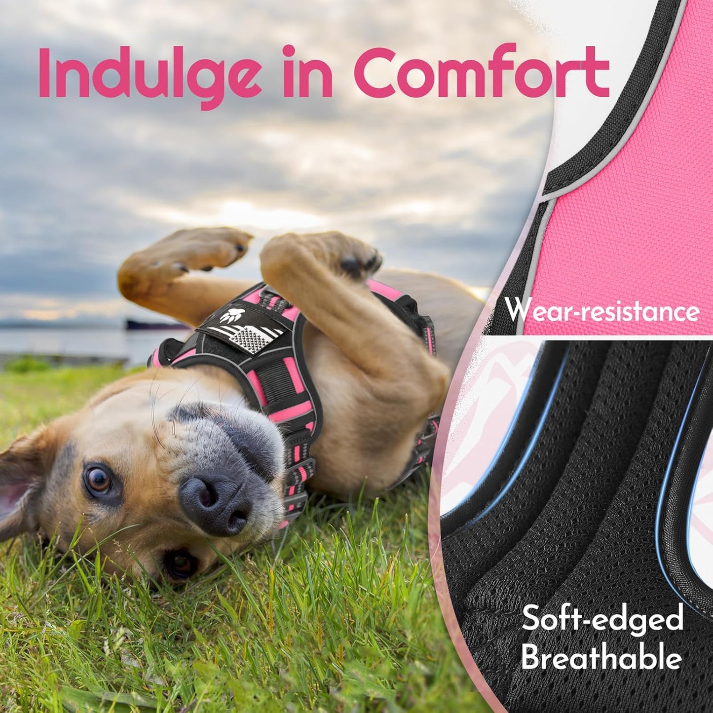 Eagloo Dog Harness Small Sized, Easy Wearing with 3 Buckles, Adjustable No Pull Pet Harness with 2 Rings for Walking, No Chock Reflective Soft Padded Vest with Control Handle, Pink & Black, S