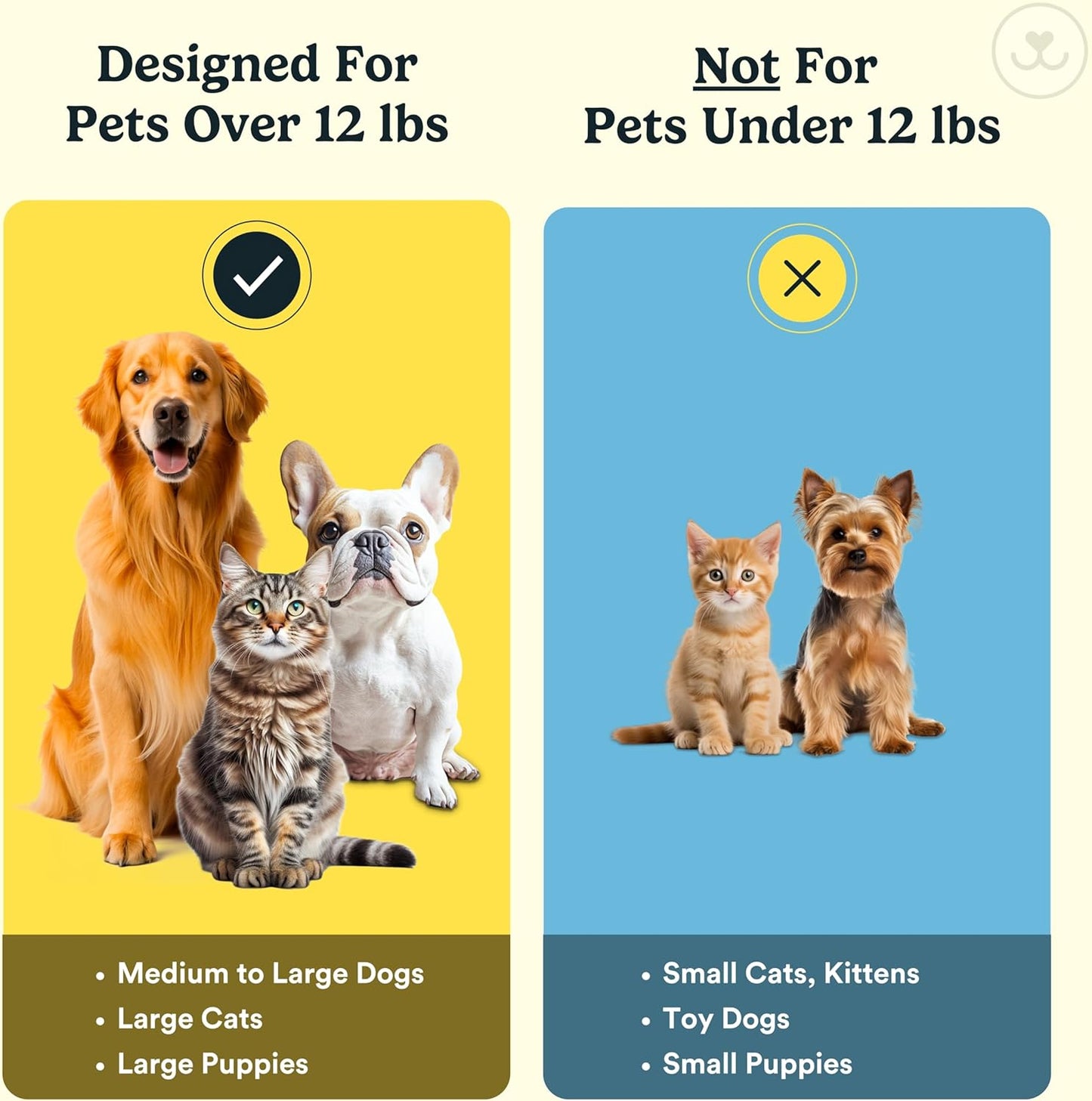 Jasper Dog Toothbrush, 360 Dog Tooth Brushing Kit, Finger Toothbrush, Cat Tooth Brush, Teeth Cleaning, Pet Tooth Brush for Small & Large Pets, Pet Toothpaste Not Included, 4-Pack Clear