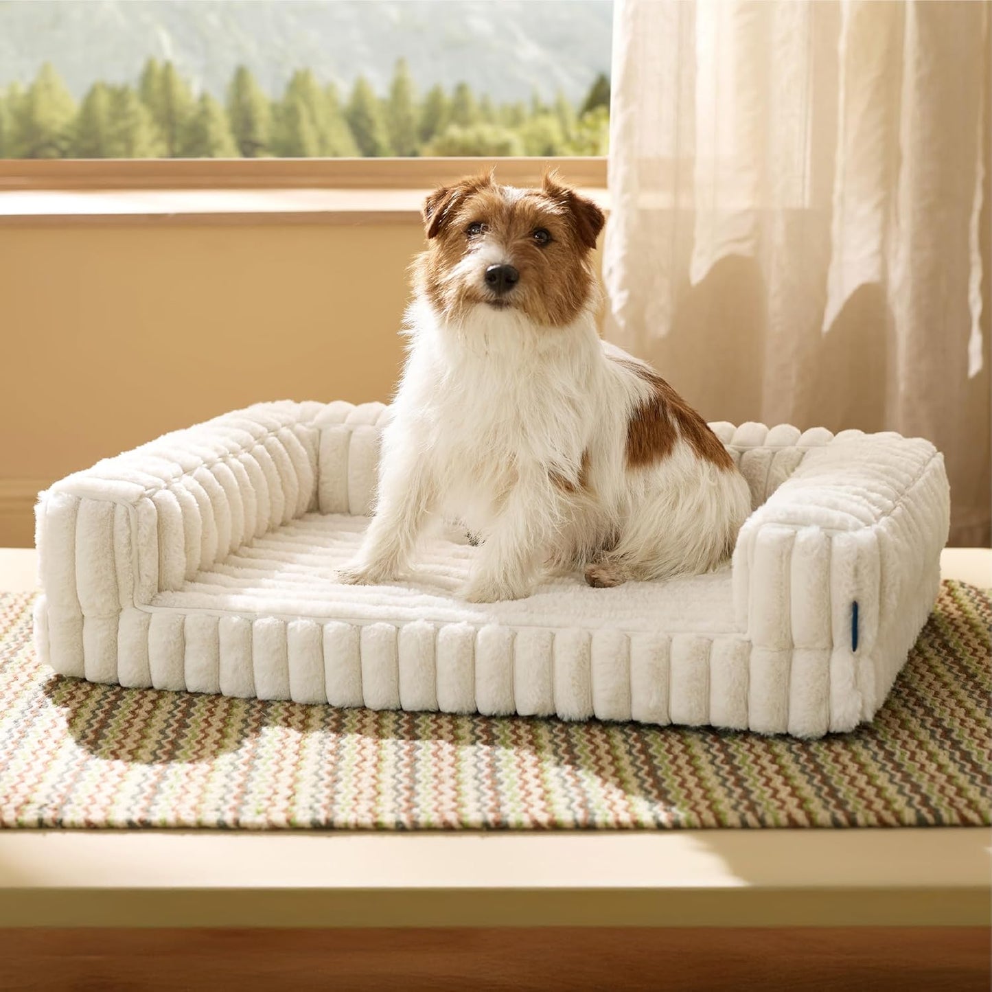 Bedsure Orthopedic Dog Bed for Medium Dogs, Waterproof Memory Foam Medium Pet Beds with Sides, Non-Slip Bottom and Egg-Crate Foam Dog Couch Sofa with Washable Removable Corduroy Cover, Cream