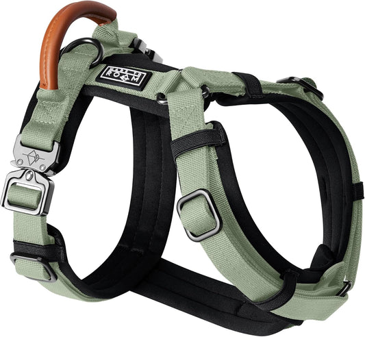 MADE TO ROAM Premium Explorer Harness - Y-Shaped Dog Harness with Adjustable Durable Nylon, Soft Padding, Metal Buckles and Leather Handle for Small, Medium, Large Dogs (Washington Rain, Size 1)