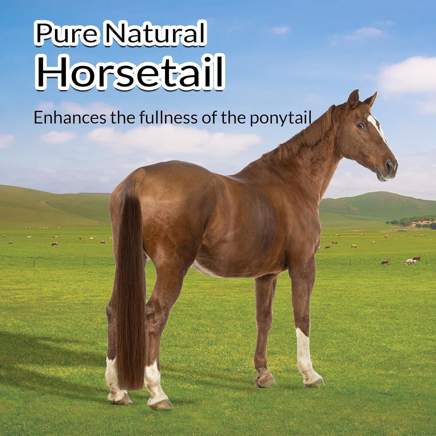 Horse Tail Extension with Braided Horsehair Loop, Blunt Cut Bottom, 3/8 lb, 28-30 inches (drak Chestnut)