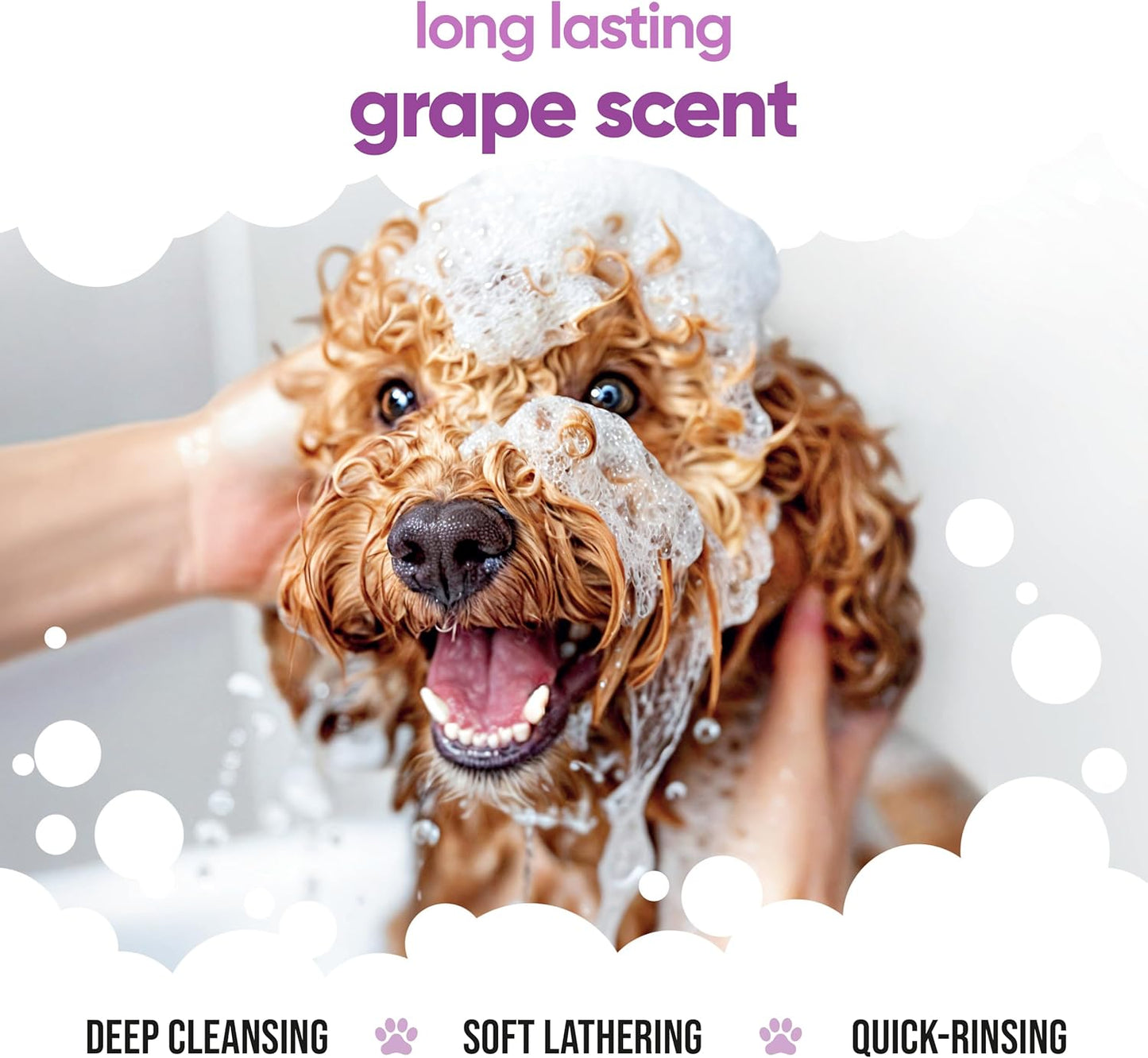 Grape Dog Shampoo by Buddycare | with Aloe Vera and Pro Vitamin B5 (50.72oz)