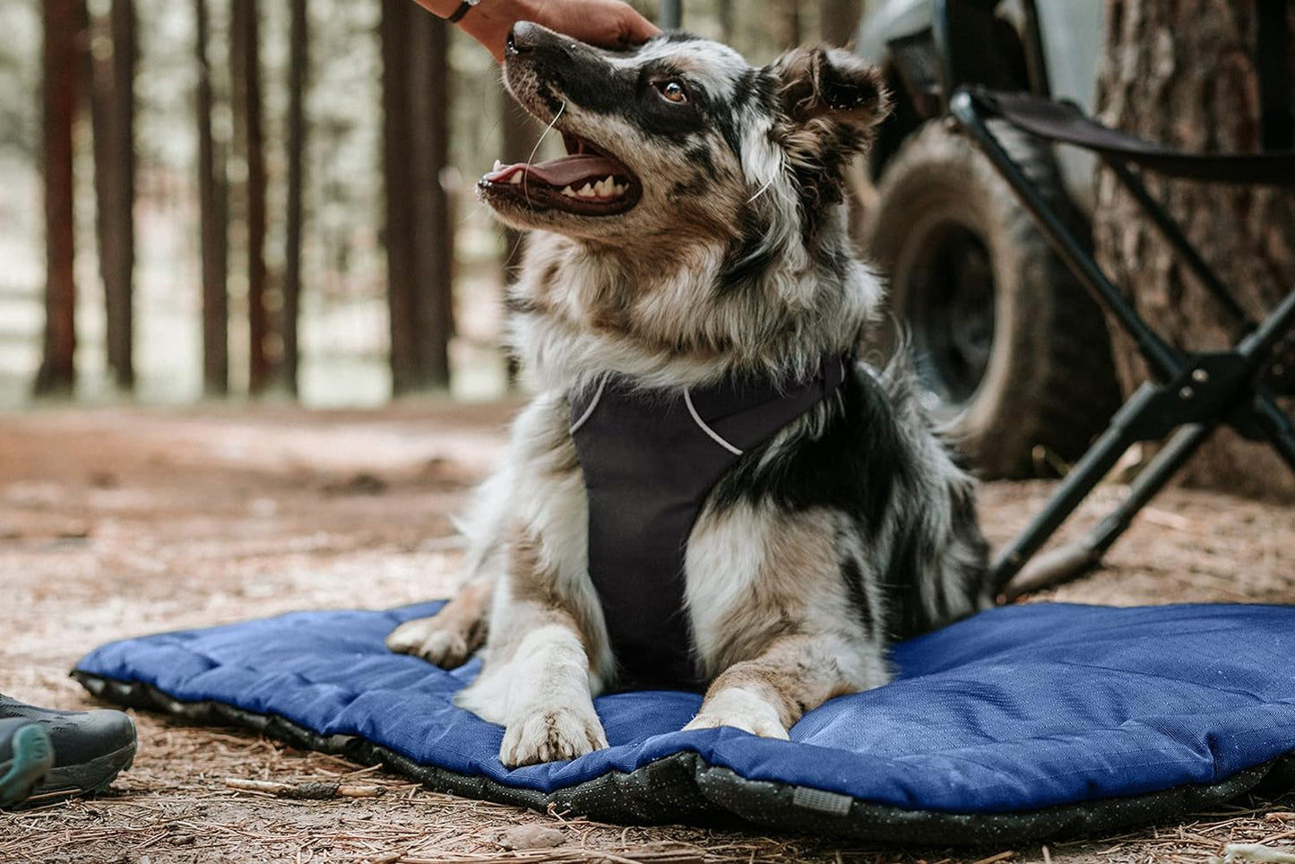 K9 Ballistics Tough Ripstop Dog Crate Pad - Durable & Machine Washable with Non-Skid Bottom and 120-Day Warranty, Fits 54" Wire Crates - XX-Large, Light Gray Velvet