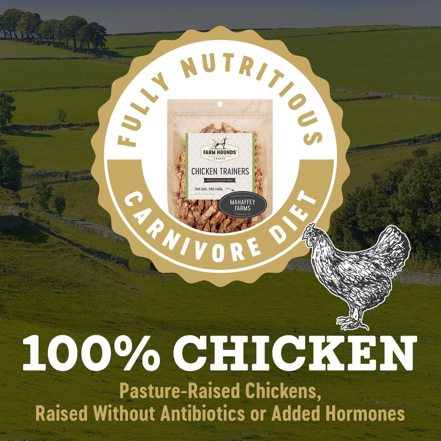 Farm Hounds - Chicken Trainers - Premium Natural Jerky for Dogs - 100% Humanely Raised Chicken - Easy-Break - Great for Training & Treats - No Added Fillers - Made in USA - 4.5oz - 1 Pack