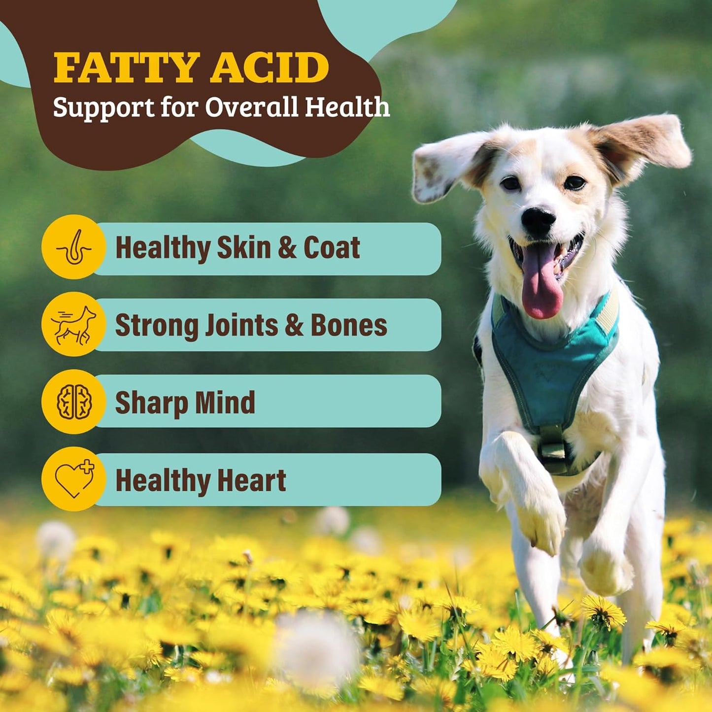 Natural Dog Company Super Seeds Food Topper, Omega-Rich, Natural Dog Multivitamin, Superfood Supplement, Dog Coat and Skin Health, Grain-Free Supplement, Daily Nutrition Boost, 8 Oz