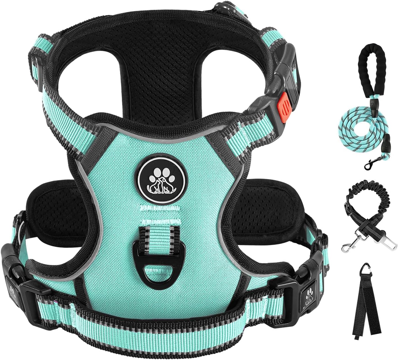 IVY&LANE No Pull Dog Harness with Leash Set, Reflective No Choke Pet Vest,Adjustable Oxford Dog Vest Harness with Easy Control Handle for Small Dogs (Turquoise,S)