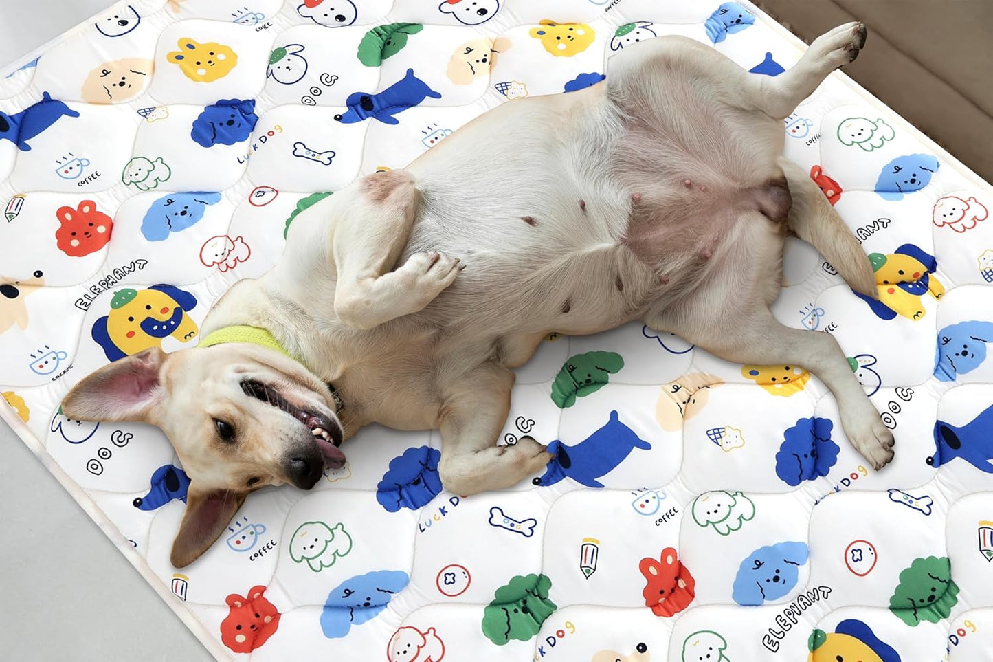 Washable Dog Crate Mat, Ultra Soft Dog Bed Mat for Sleeping with Anti-Slip Bottom for Large Medium Small Dogs Breeds (30" X 19")