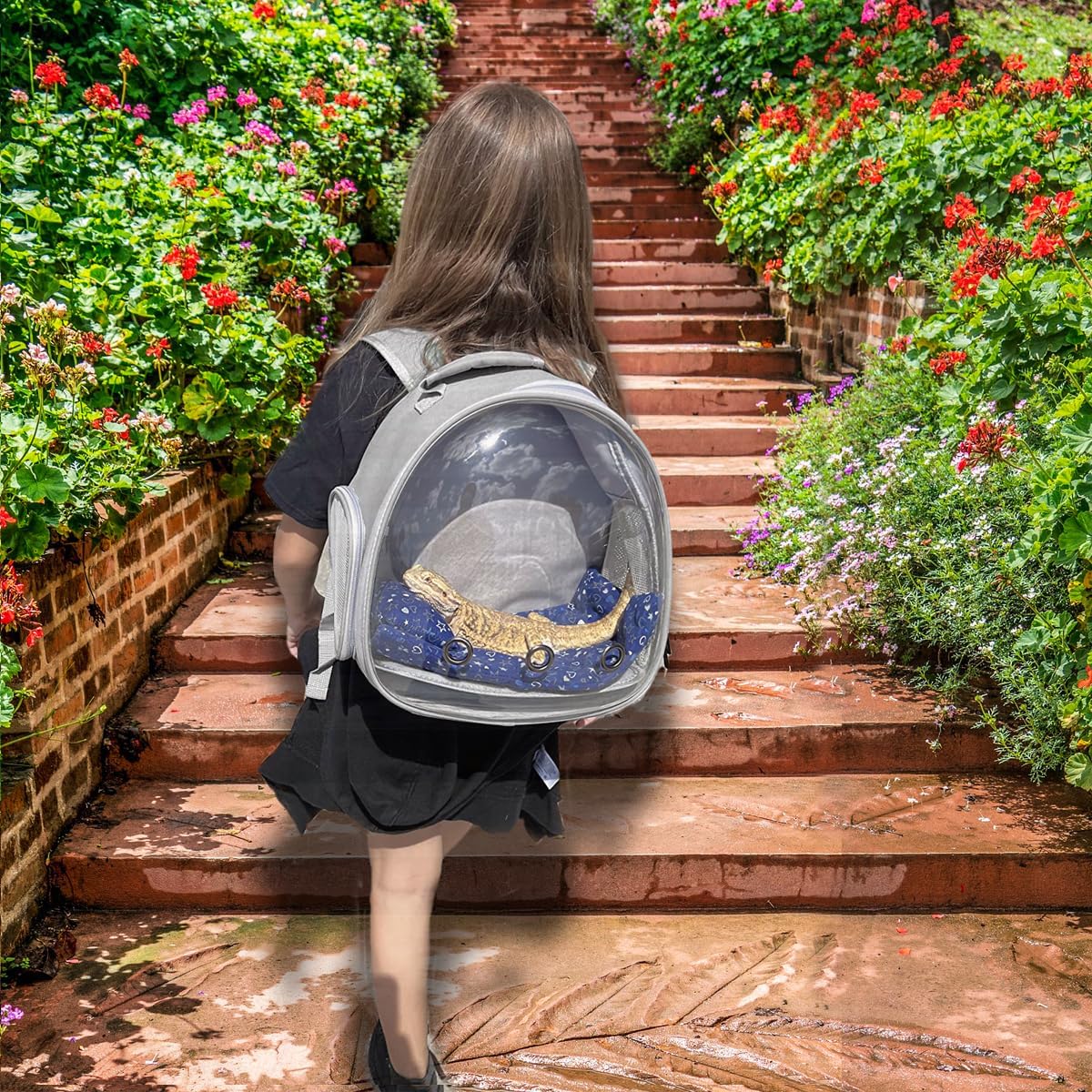 Bearded Dragon Travel Backpack with Harness and Leash Set,Lizard Backpack Travel Carrier,Space Capsule Clear Bubble Window Astronaut Reptile Carrier Backpack for Kids, Airline Approved