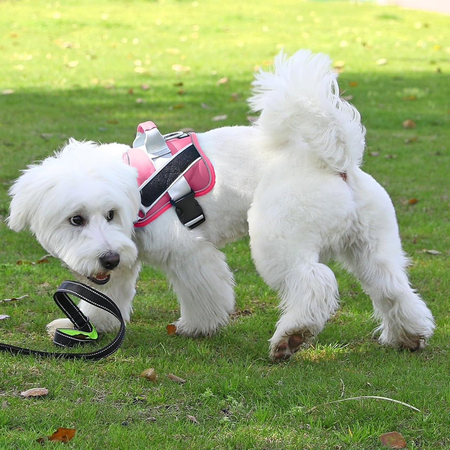 Bolux Dog Harness, No-Pull Reflective Dog Vest, Breathable Adjustable Pet Harness with Handle for Outdoor Walking - No More Pulling, Tugging or Choking (Fuchsia, Medium (Pack of 1))