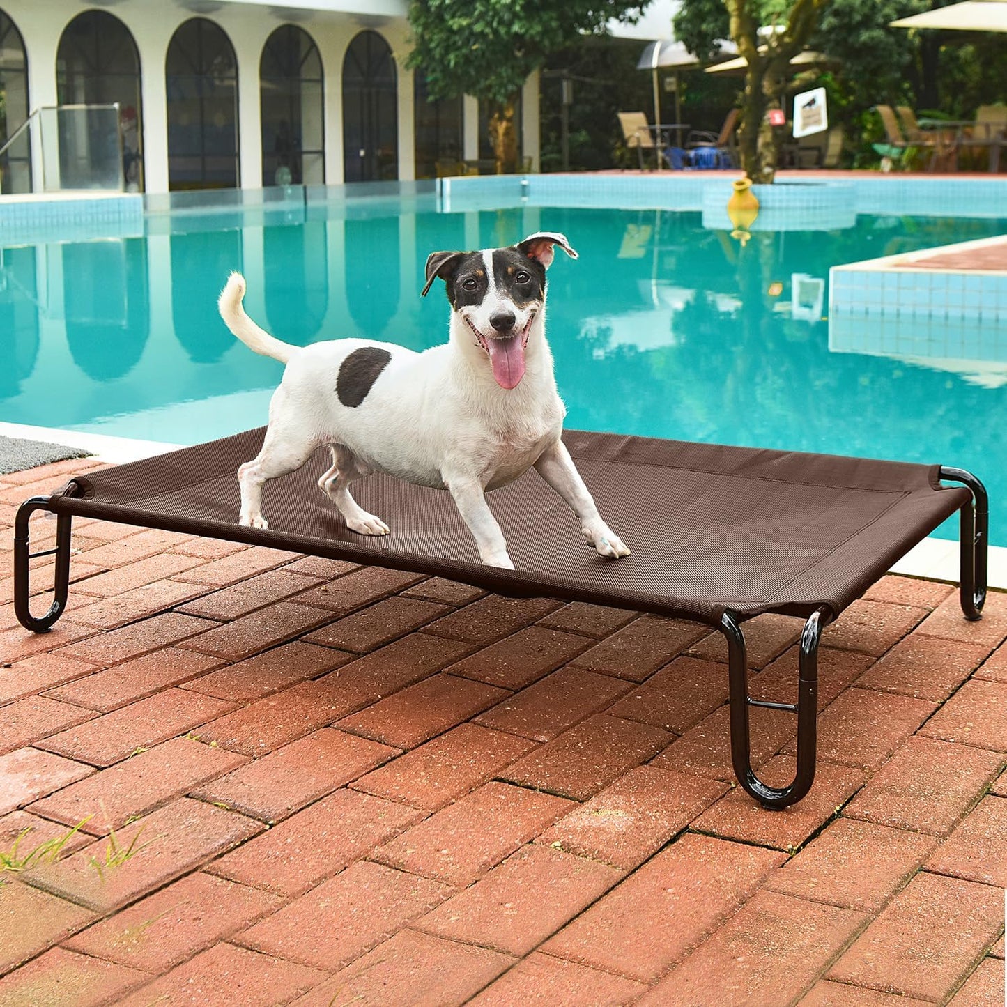 pettycare Elevated Outdoor Dog Bed - Raised Cots Beds for Small Dogs, Waterproof Pet Hommock Easy to Assemble, Cooling with Teslin Mesh, Durable, Non Slip, Indoor & Outdoor, Up to 35 lbs, Brown