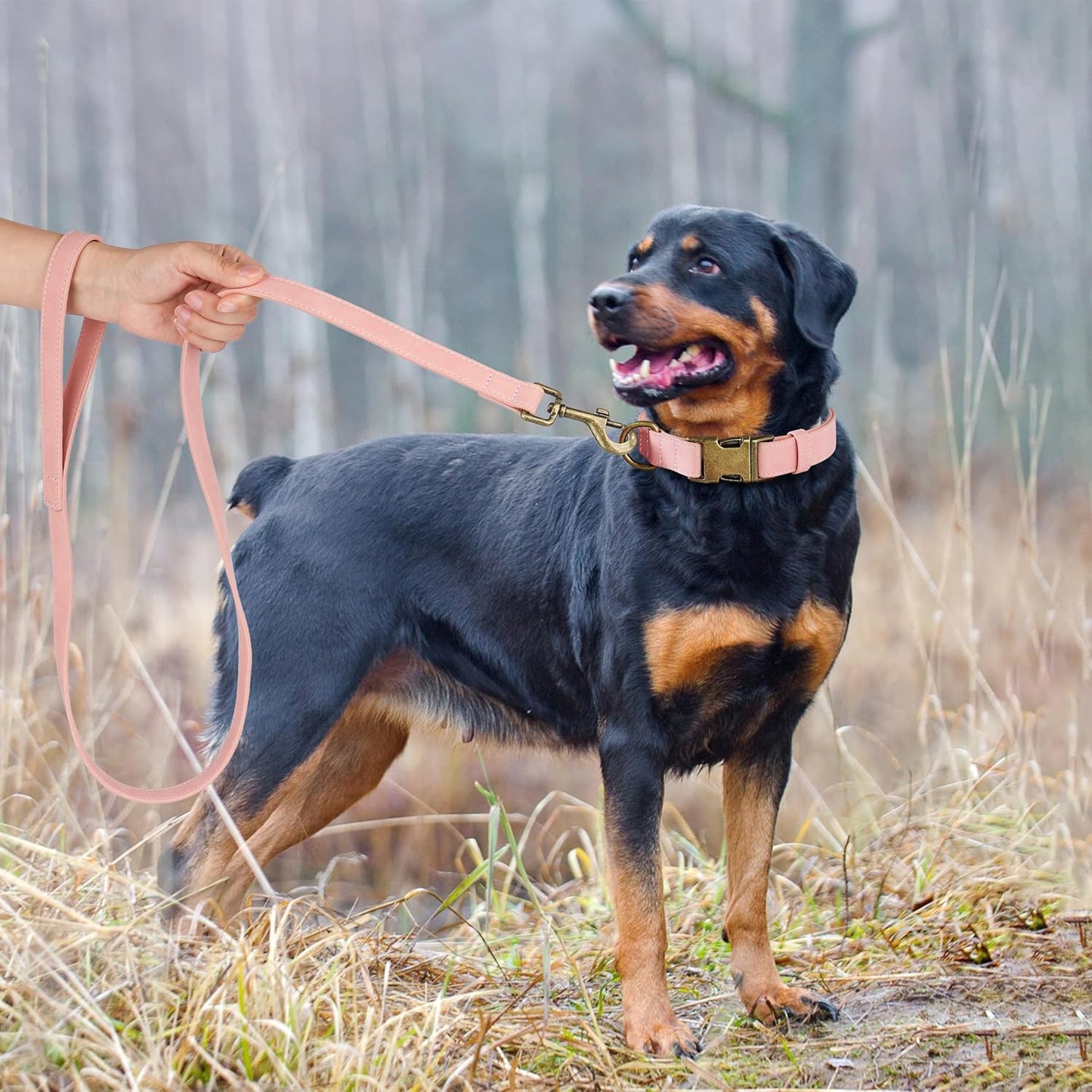 Didog Soft PU Leather Dog Collar, Stylish Quick Released Dog Collar for Large Dogs, Easy Clean Adjustable Pet Collar for Daily Walking, Pink, L Fit 15-23" Neck