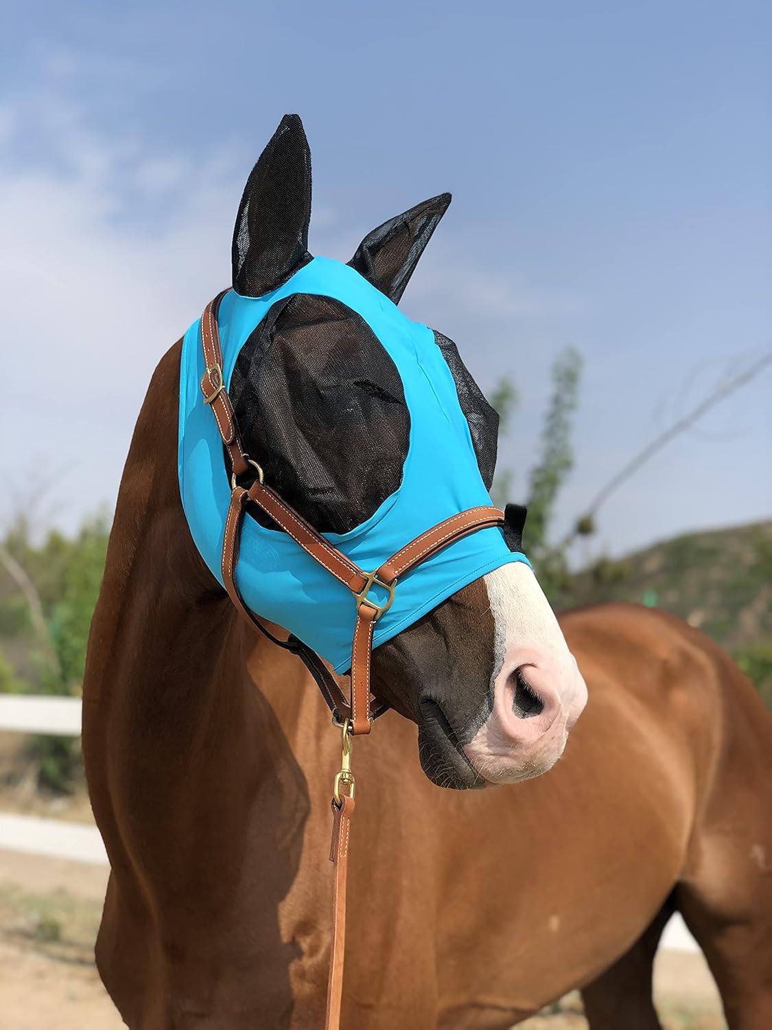 Horse Fly Mask Super Comfort Horse Fly Mask Elasticity Fly Mask with Ears We Only Make Products That Horses Like… (Pacific Blue, M)