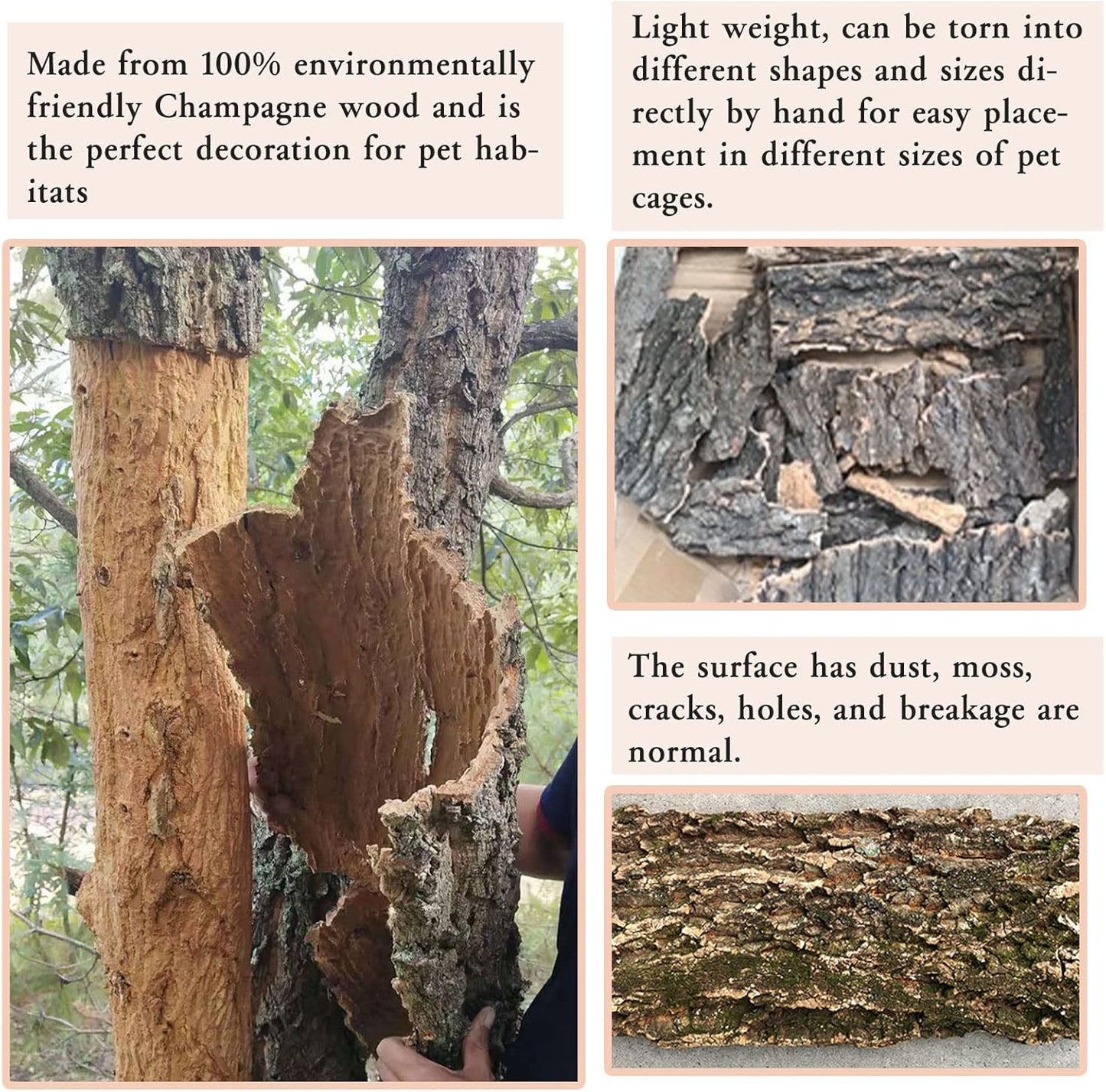 Tfwadmx 2Pcs Cork Terrarium Background 11.8”x7.9” Natural Cork Bark Backdrop Reptile Background Climbing Wall Terrarium Accessories for Lizard,Tortoise,Gecko,Bearded Dragon,Chameleon