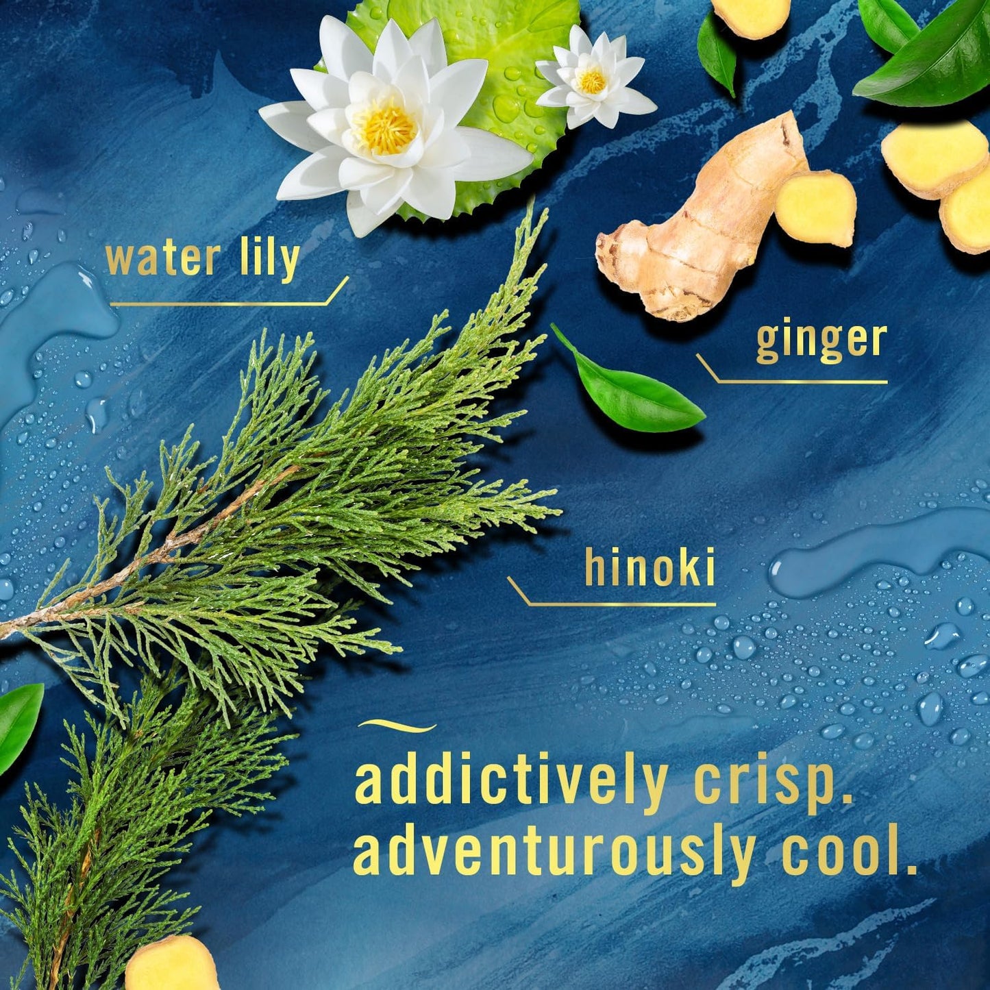 Febreze Bathroom Air Freshener, Odor-Fighting, Plug In Alternative, Air Fresheners for Home and Bathroom and Kitchen, Closet Air Fresheners, Ocean Scent, 4 Count