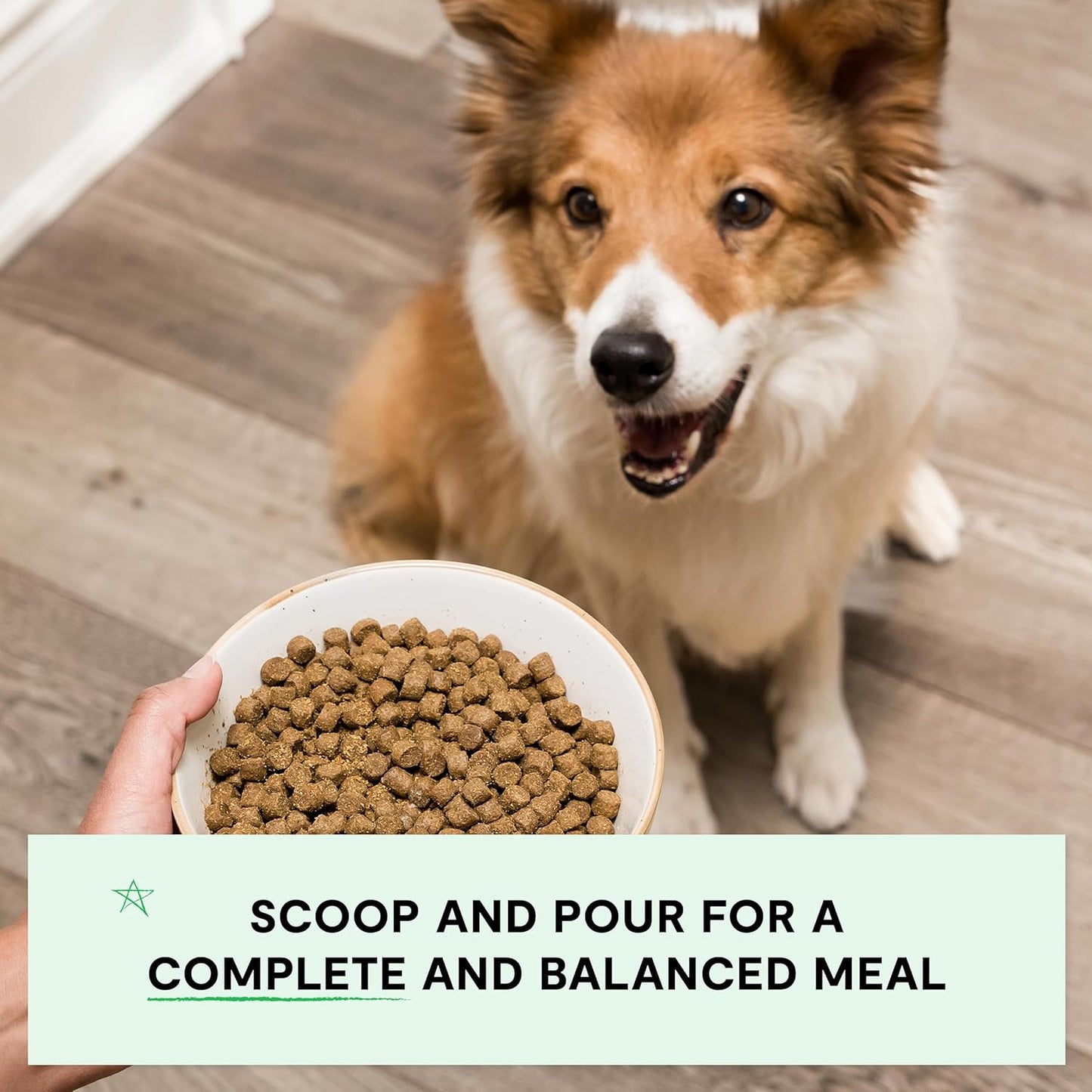 Open Farm, Grain-Free Dry Dog Food, Complete & Balanced Kibble, Sustainably & Ethically Sourced Ingredients, Non-GMO Veggies & Superfoods Support Overall Health, Pasture Raised Lamb Recipe, 22lb Bag