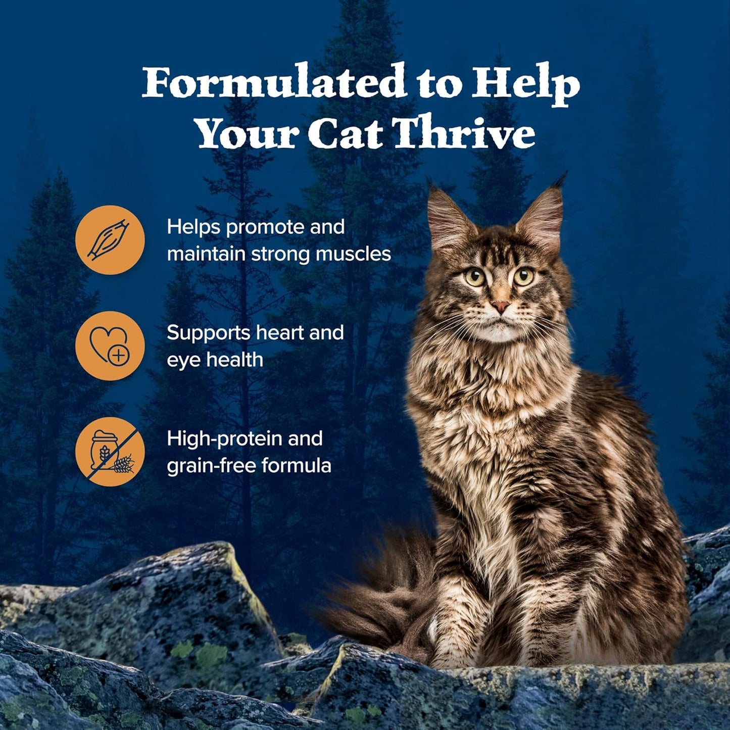 Blue Buffalo Wilderness Wild Delights Minced Natural Wet Cat Food, Chicken & Turkey in Tasty Gravy, 5.5-oz. Cans, 24-Pack