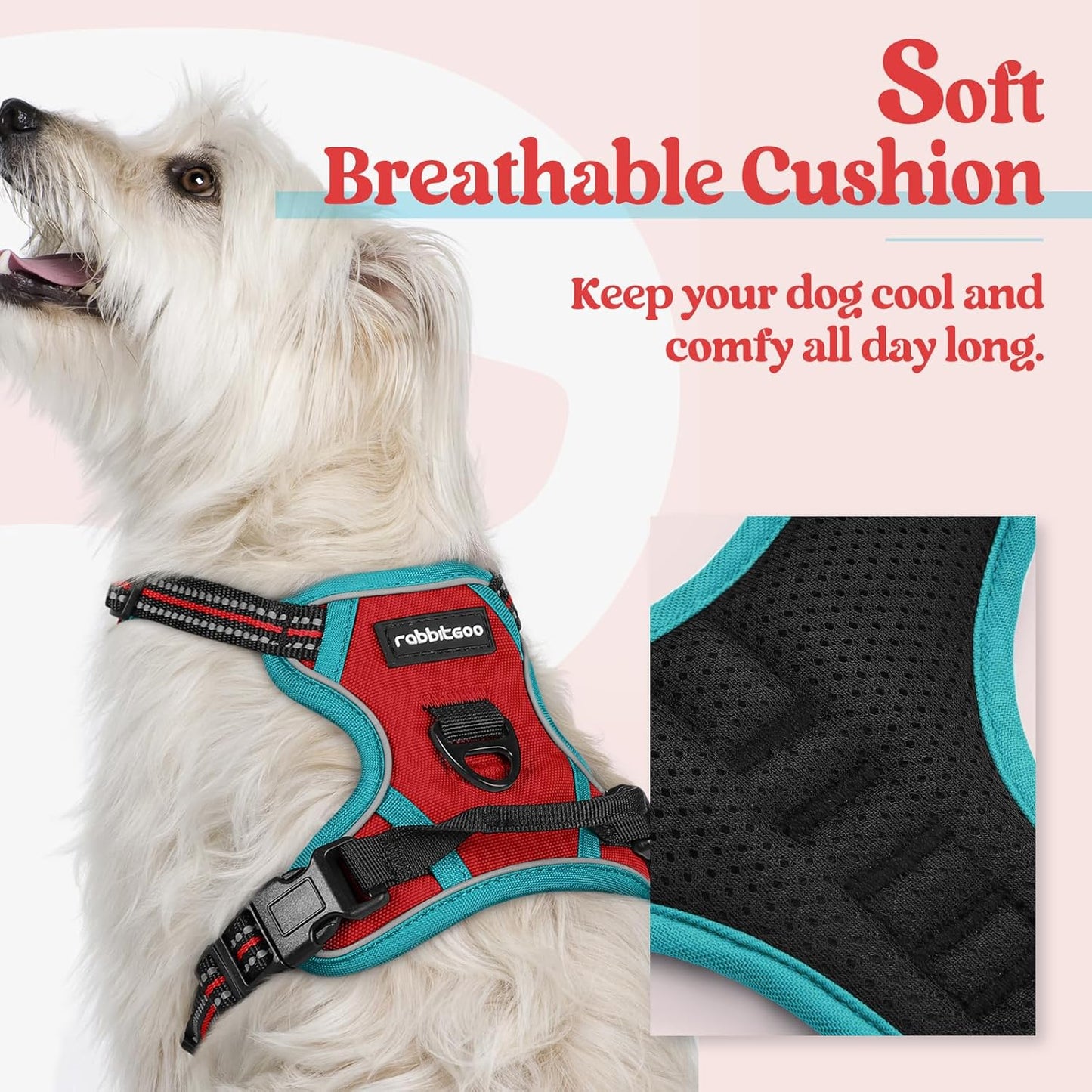 rabbitgoo Dog Harness No Pull with 2 Leash Clips, Adjustable Soft Padded, Reflective Oxford No Choke Pet Vest with Easy Control Handle for Puppy, Red & Teal, XS