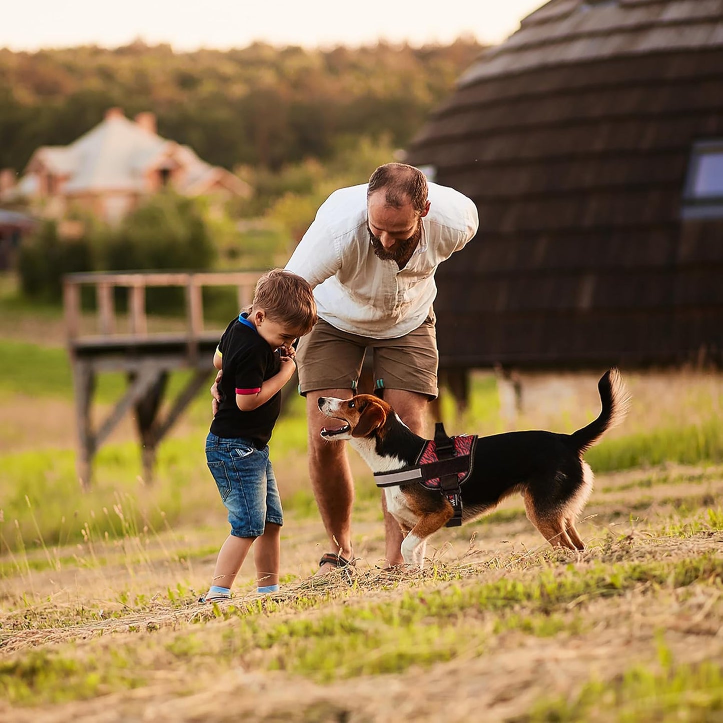 Dogline Dog Harness, Reflective No-Pull Adjustable Vest with Handle for Walking, Training, Breathable, No - Choke Harness for Small, Medium or Large Dogs Room for Patches Zebra Black/Red S 18"-24"