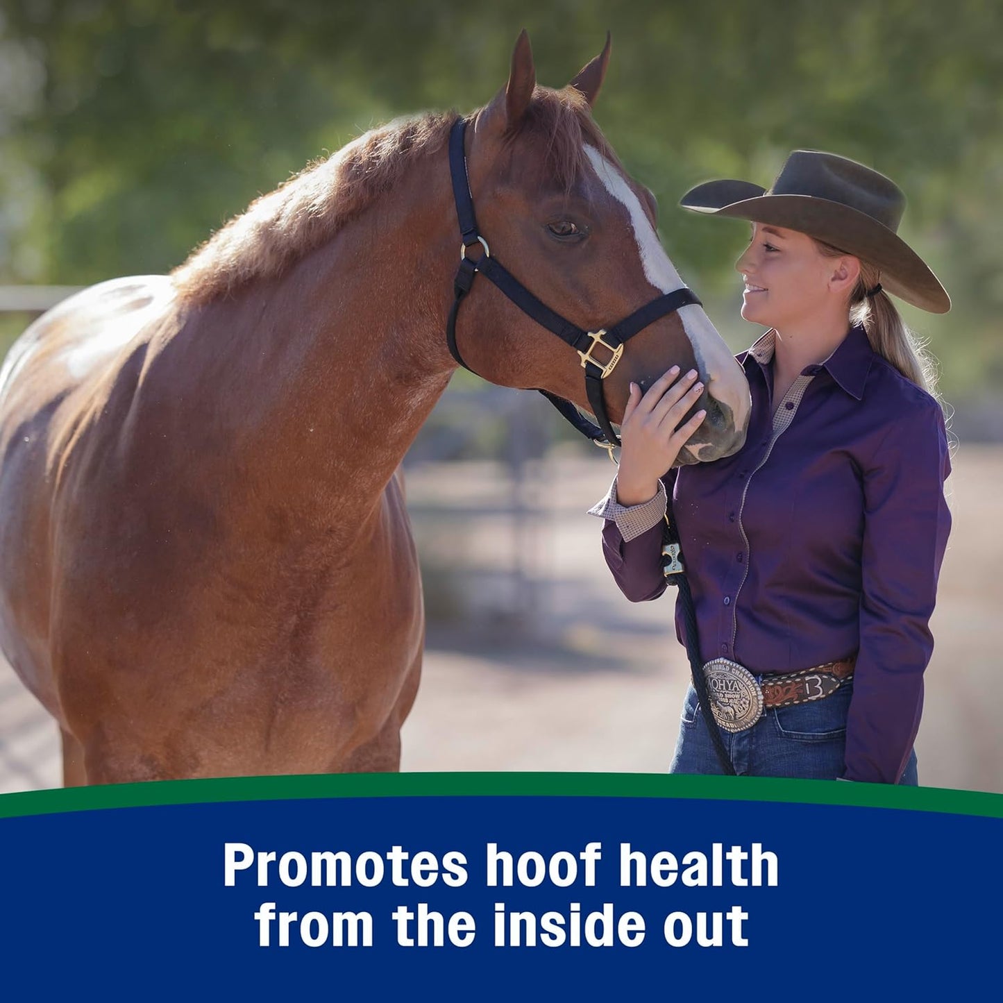 Farnam Horseshoer's Secret Pelleted Hoof Supplement for horses promotes healthy hoof growth, 11lb., 30 day supply