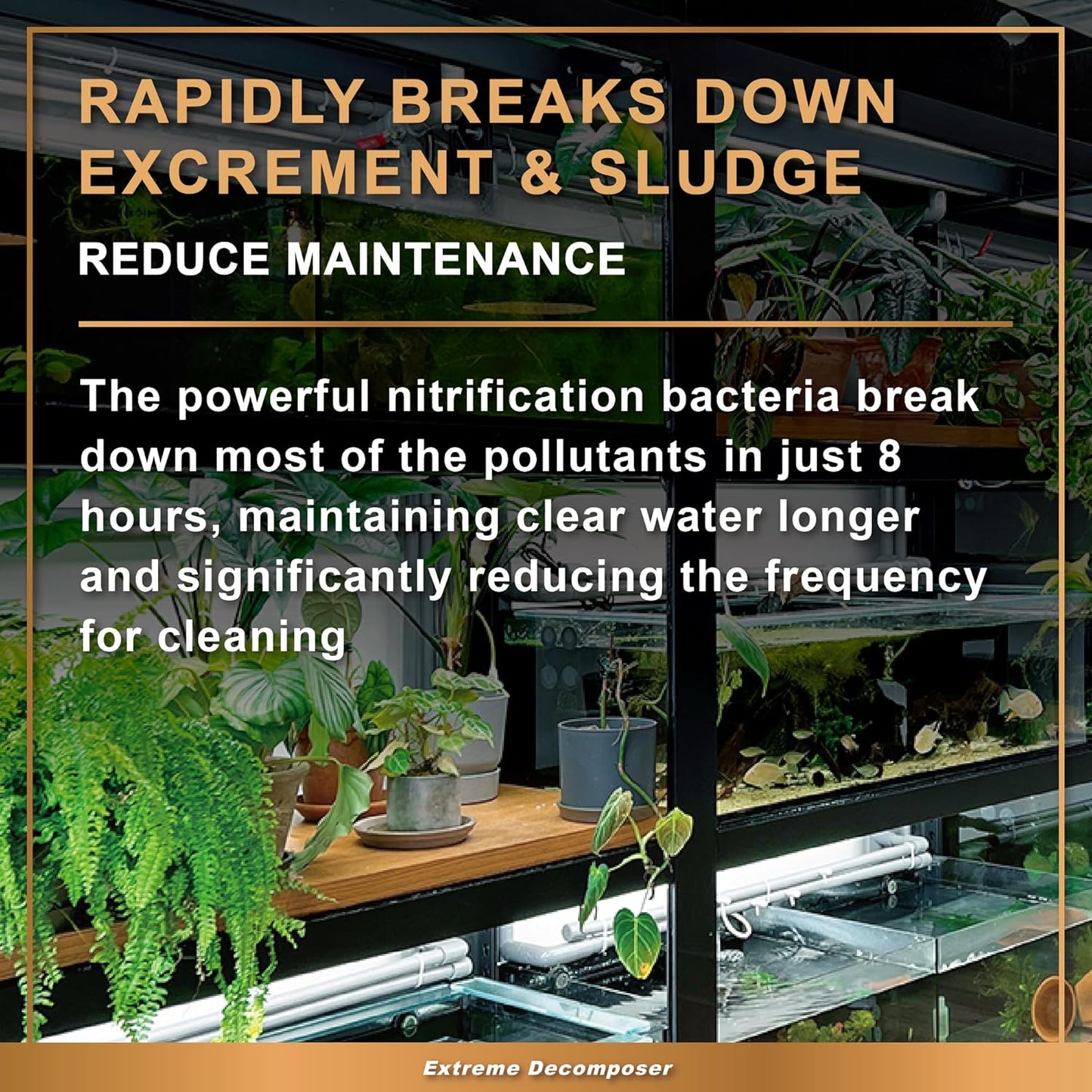 AZOOPLUS BIO XD Extreme Decomposer Nitrifying Bacteria for Freshwater and Saltwater Fish Tank 4.05 Ounces